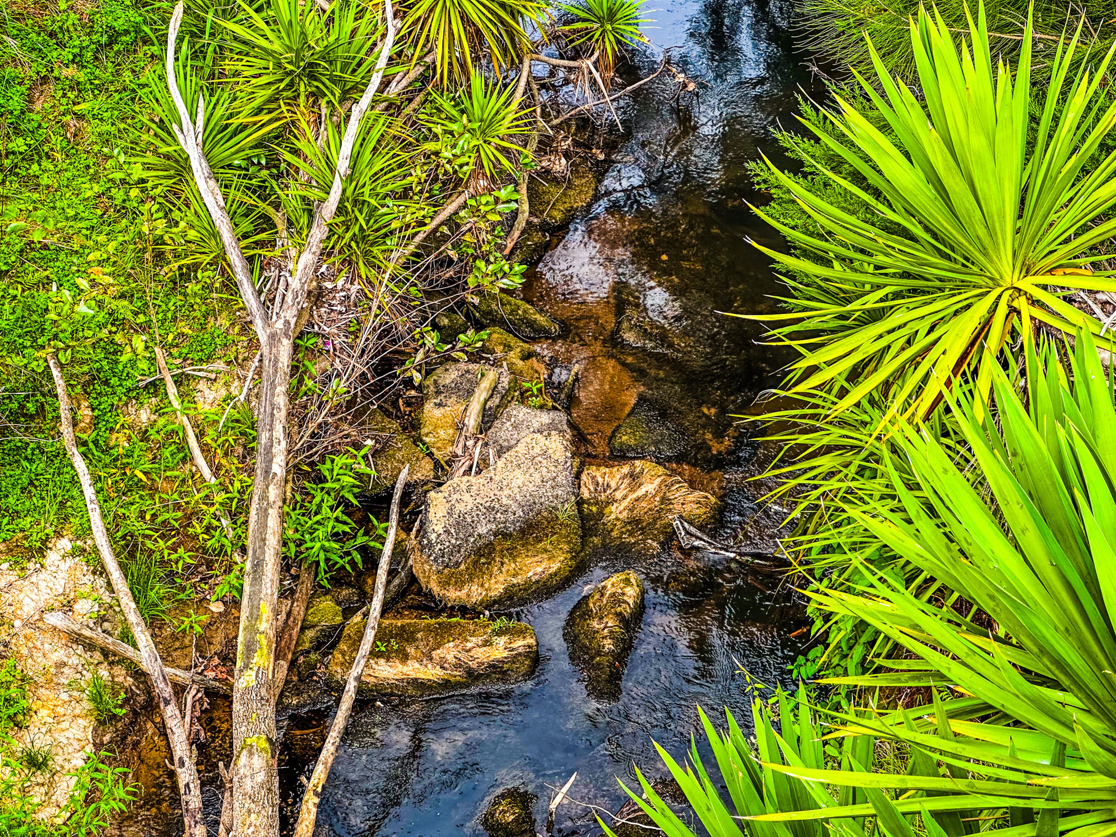 Image 6 of 10