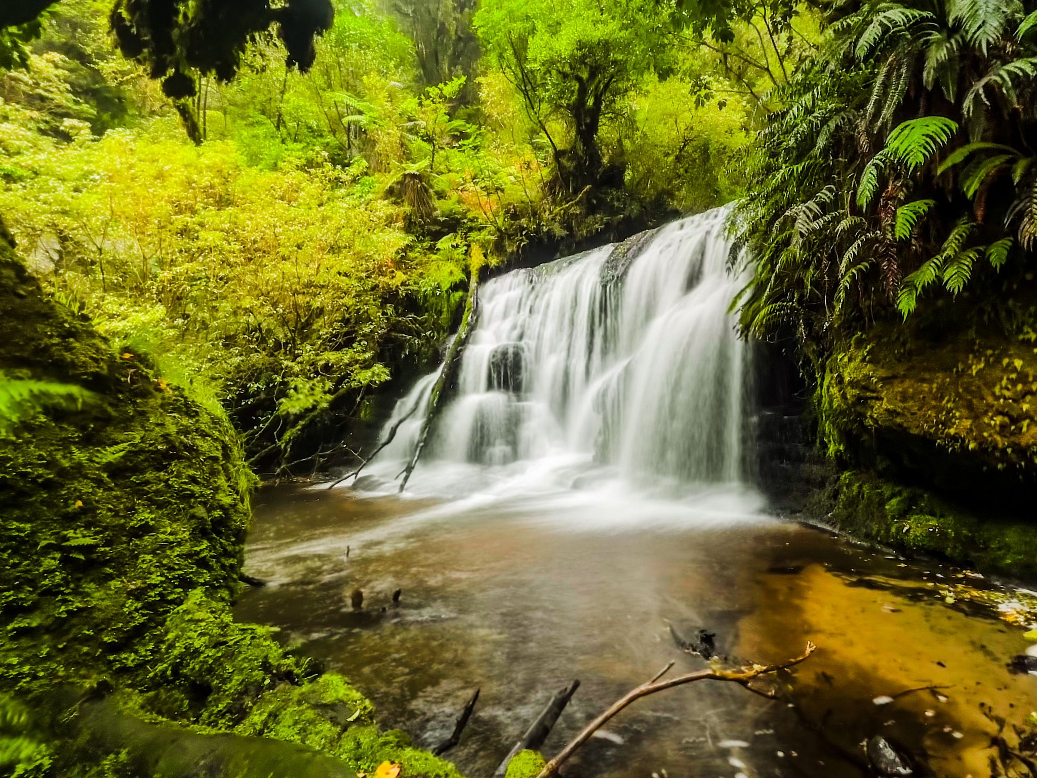 Waipohatu Waterfall Track