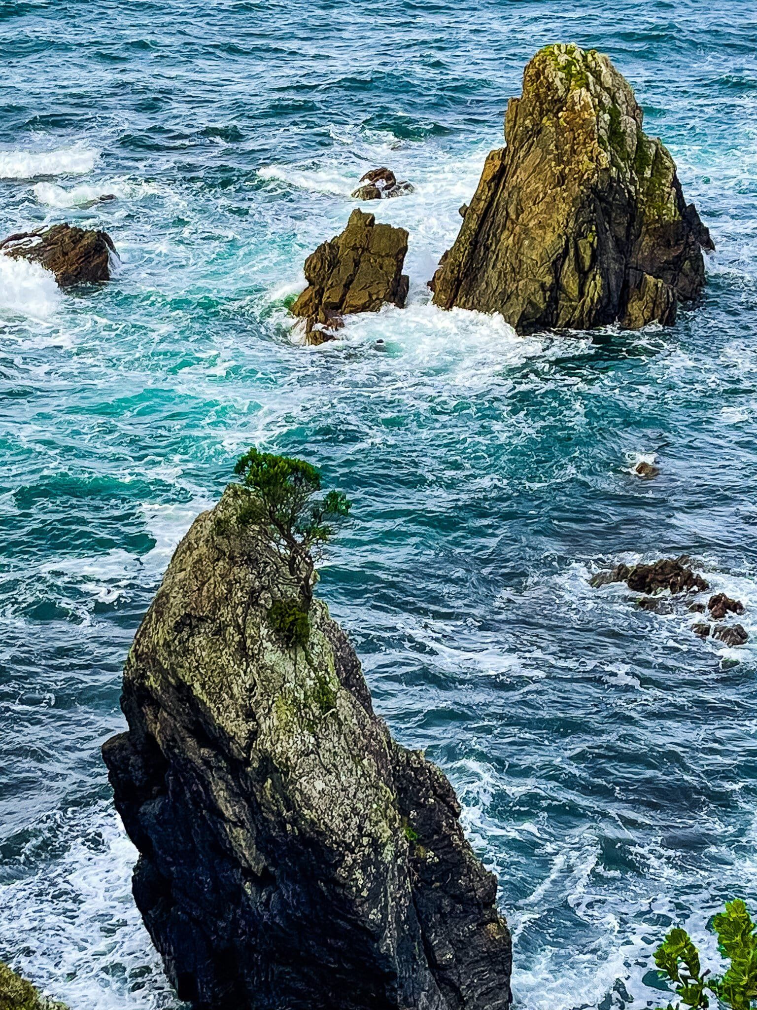 Image 8 of 12