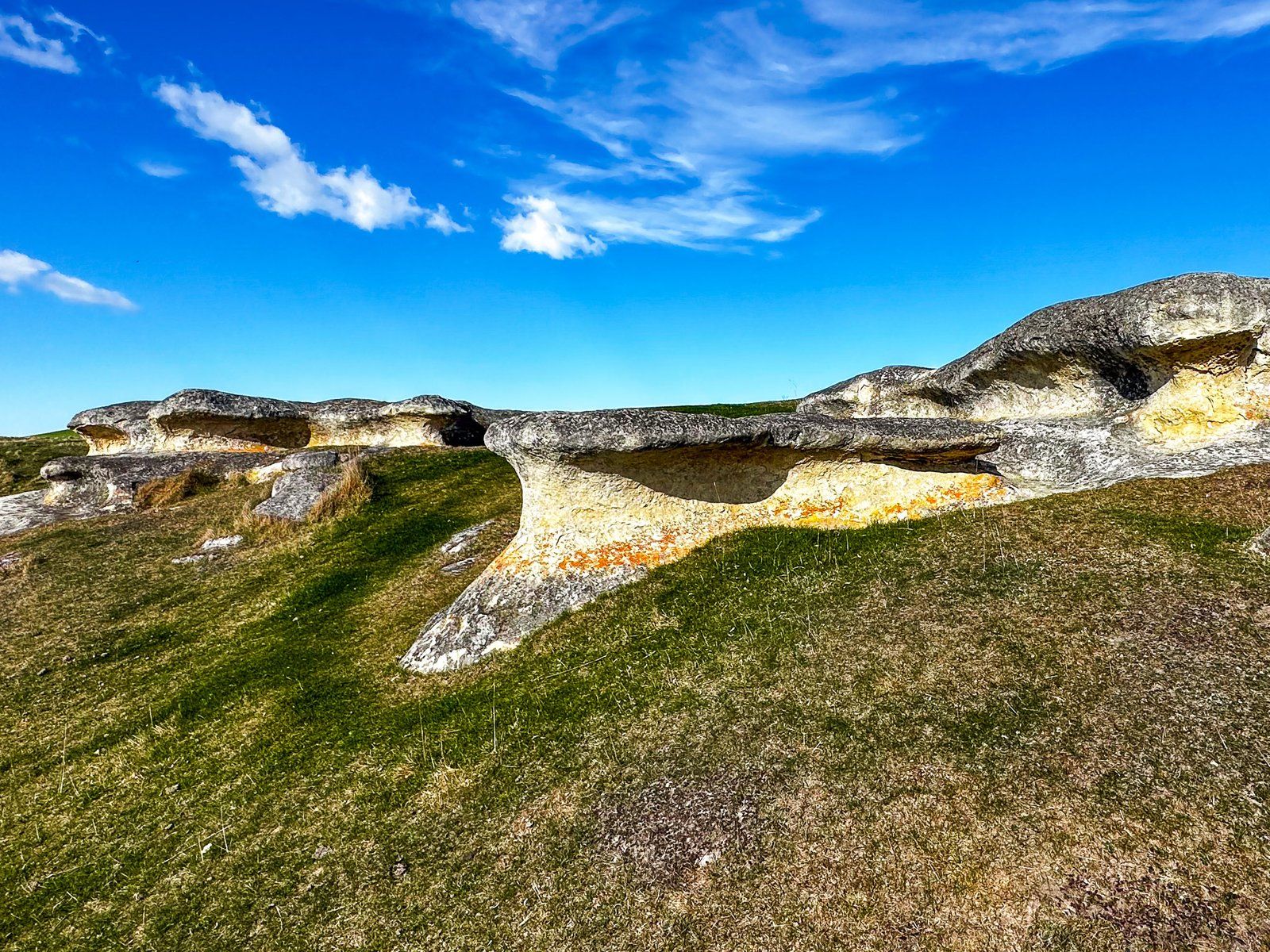 Waitaki Whitestone: NZ’s Most Beautiful Rock Formations