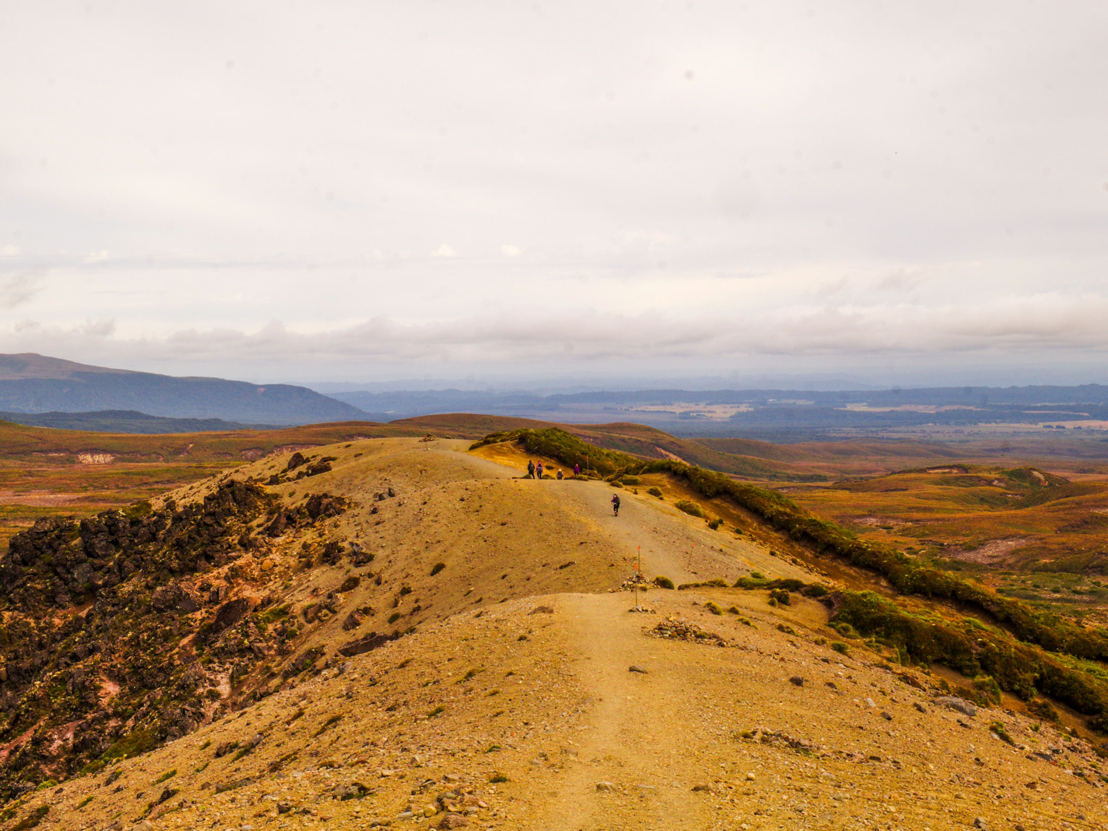 Image 9 of 10