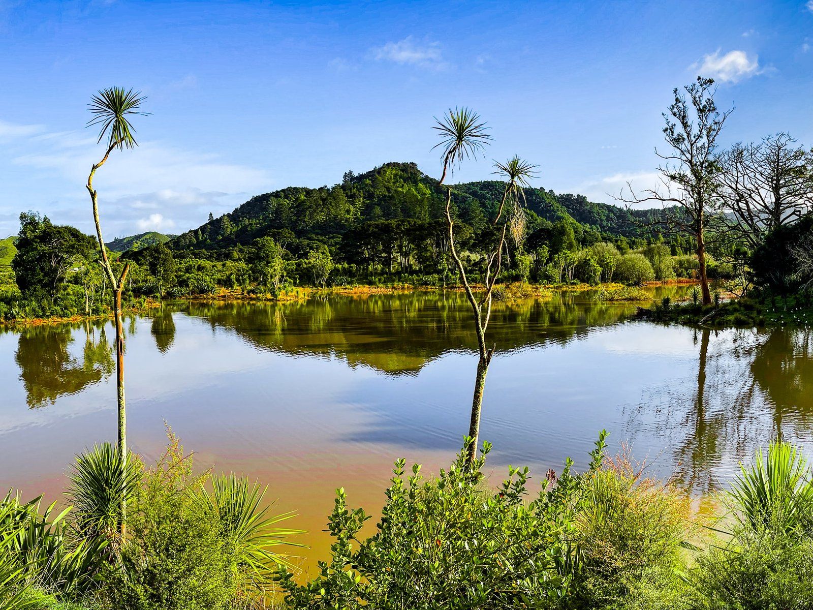 Taupiri Pass Scientific Reserve