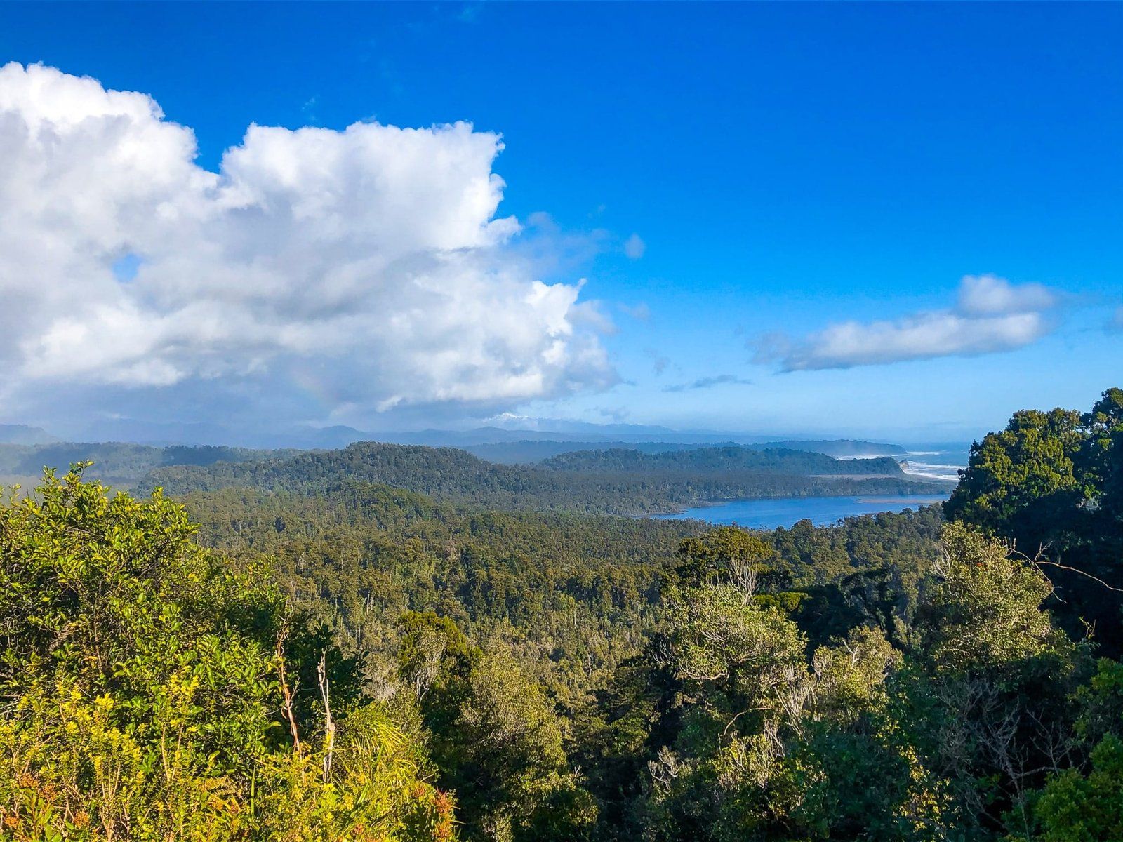 Ōkārito Trig Track