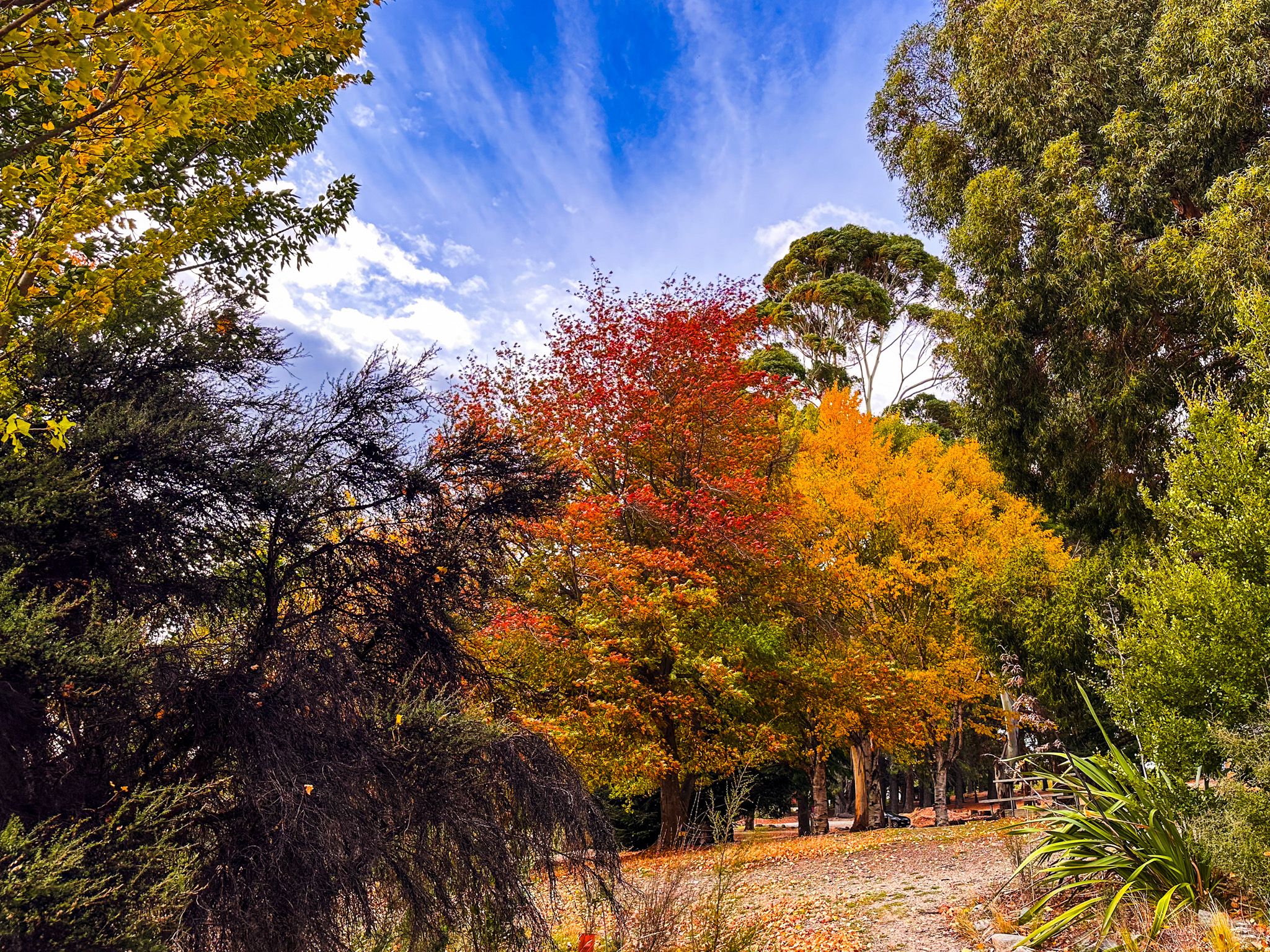 Eely Point Reserve