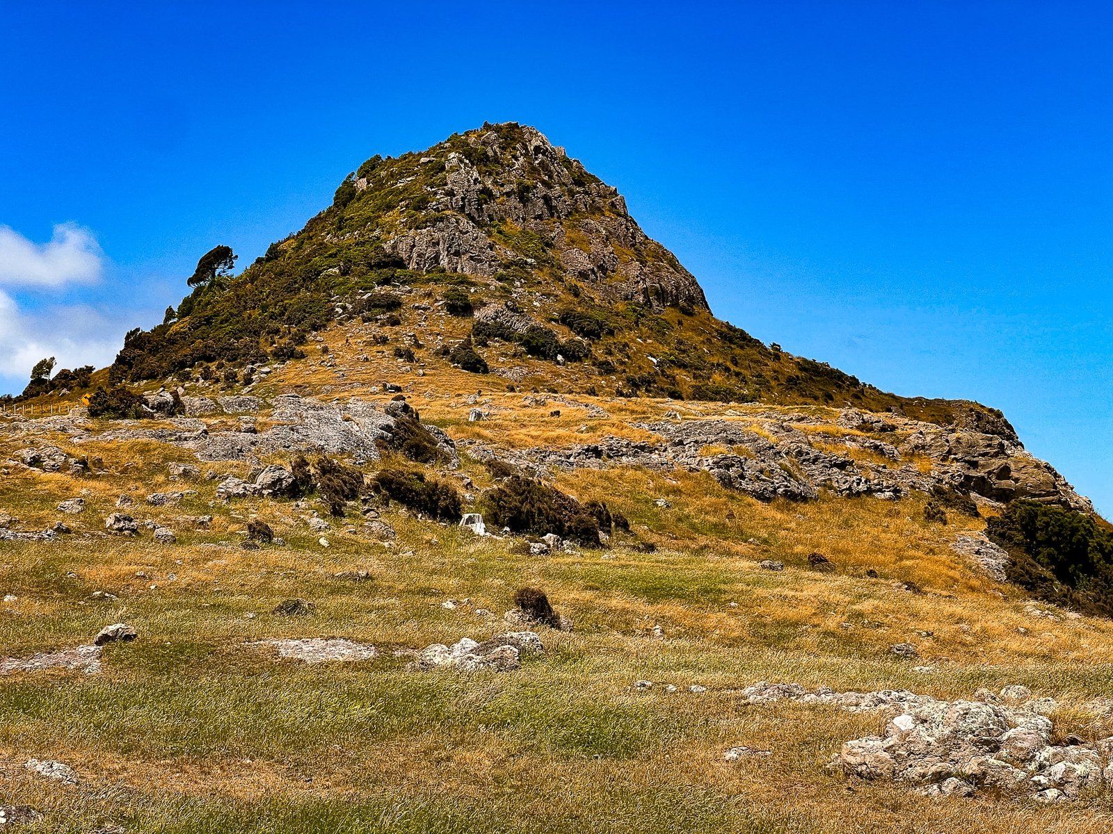 Image 10 of 10