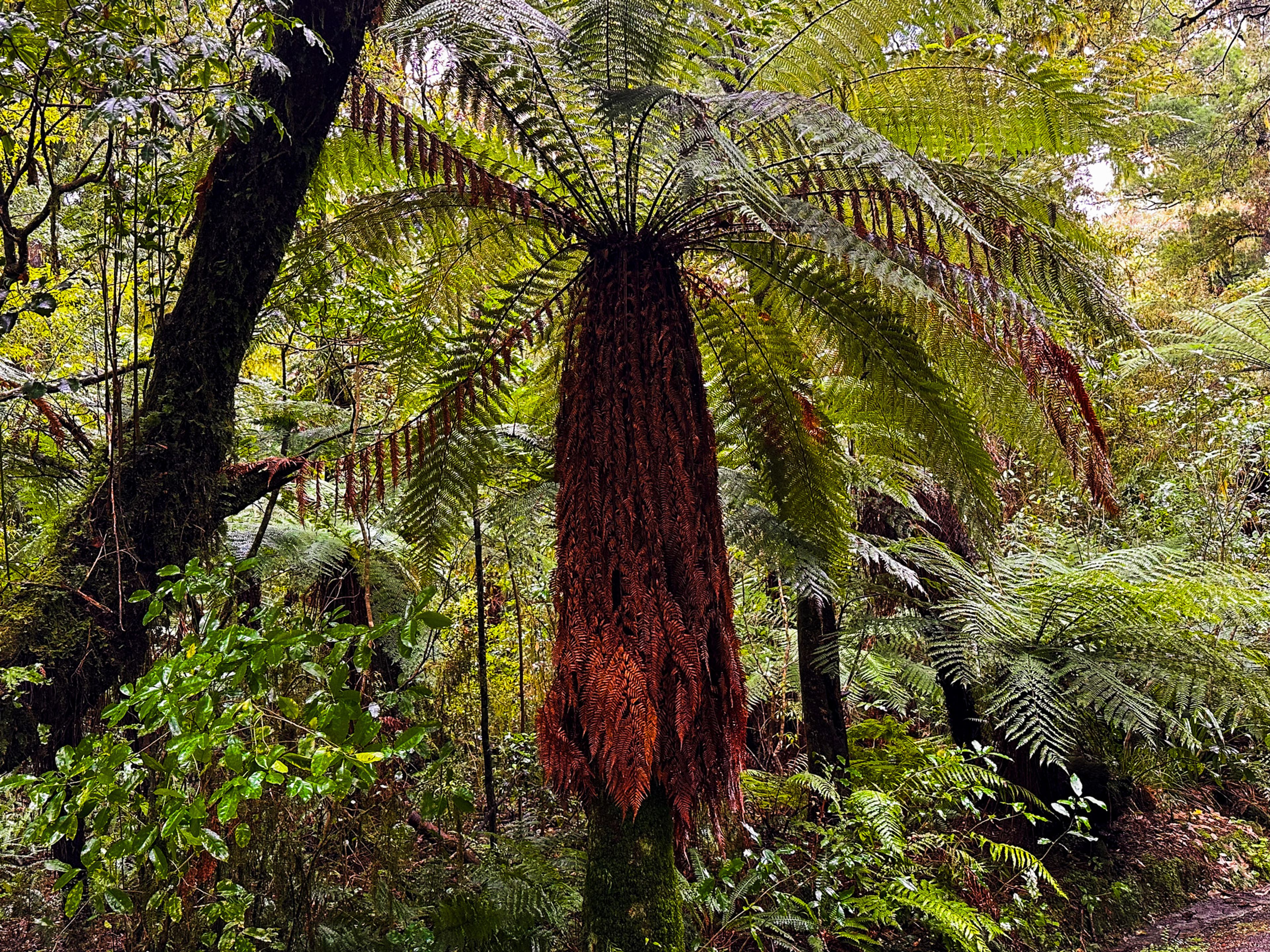 Image 10 of 10