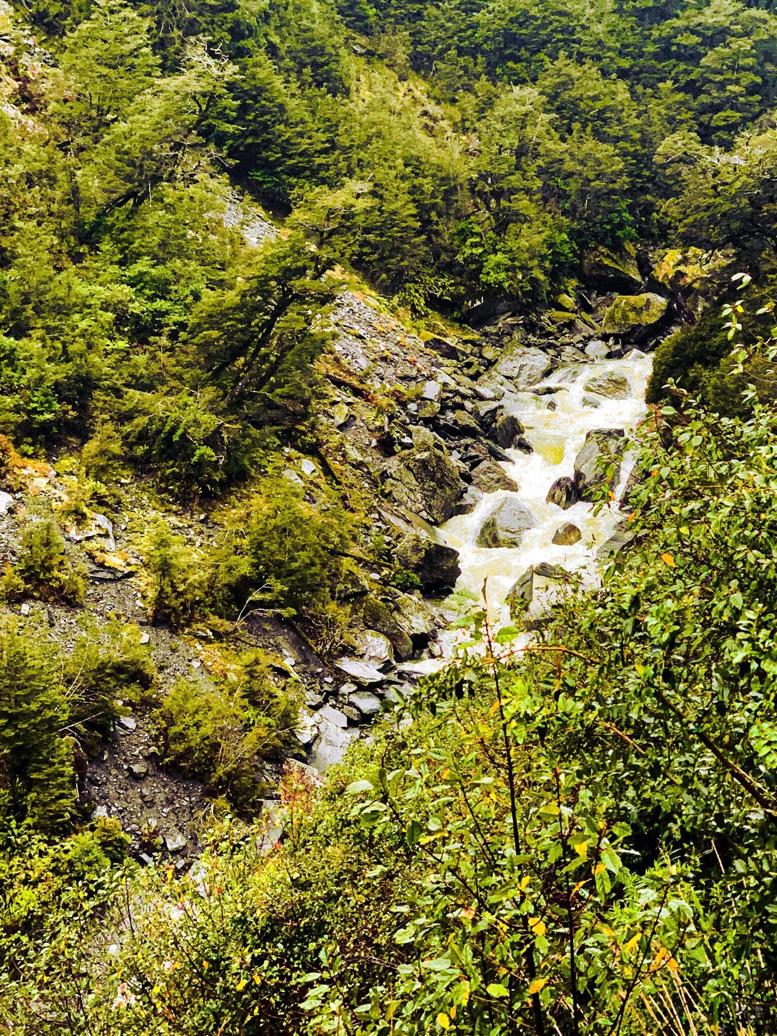 Image 3 of 8