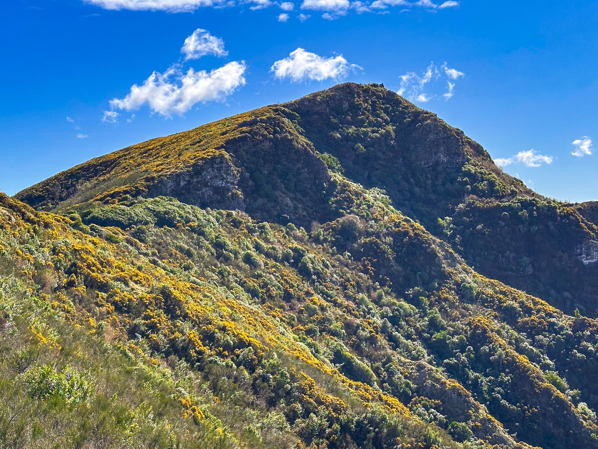 Image 9 of 10