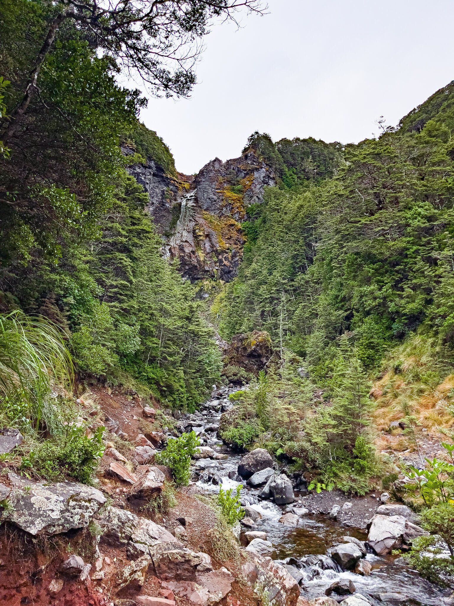 Image 5 of 11
