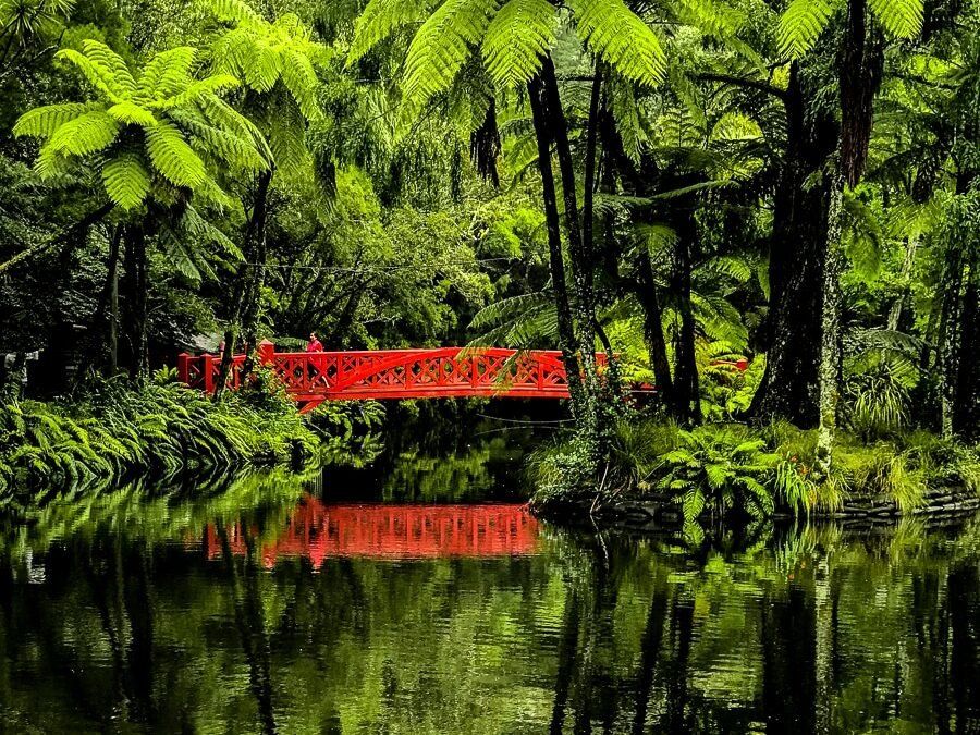 Pukekura Park