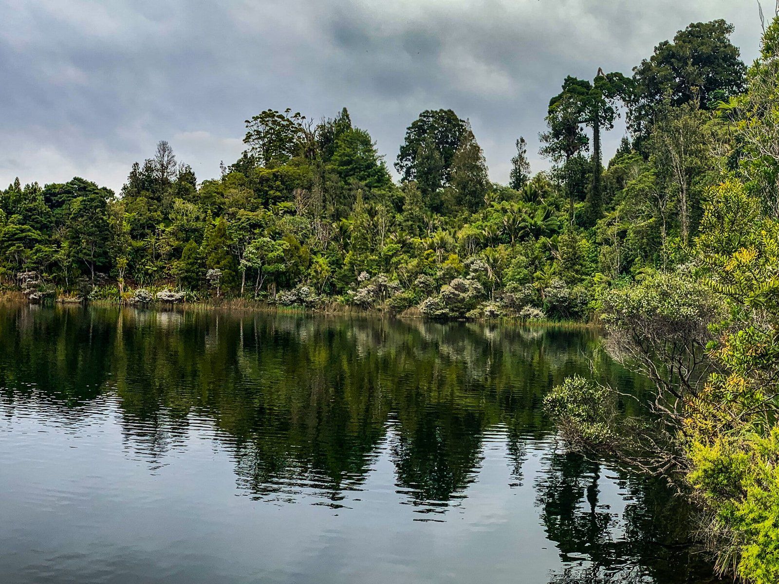 Waitakere Ranges, Part 4
