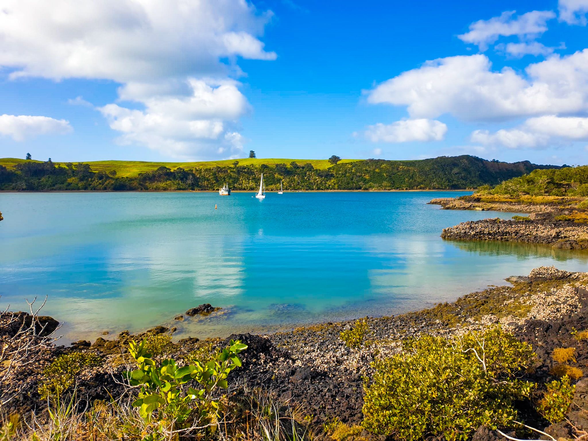 Rangitoto Island
