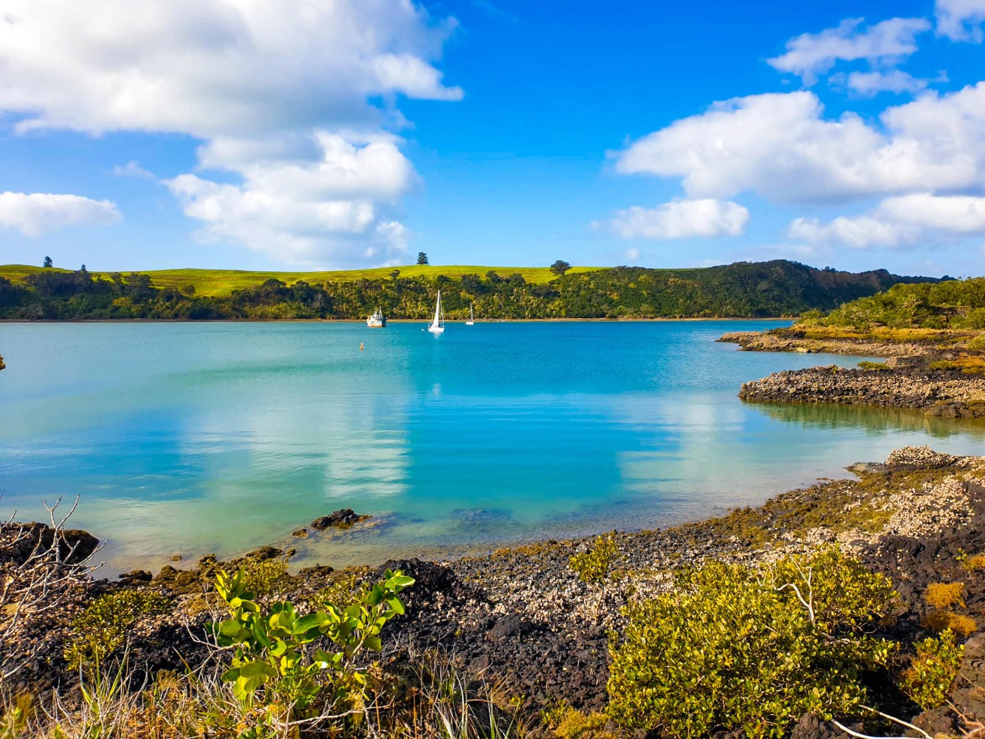 Rangitoto Island | Hauraki Gulf Islands - New Zealand Trip Ideas
