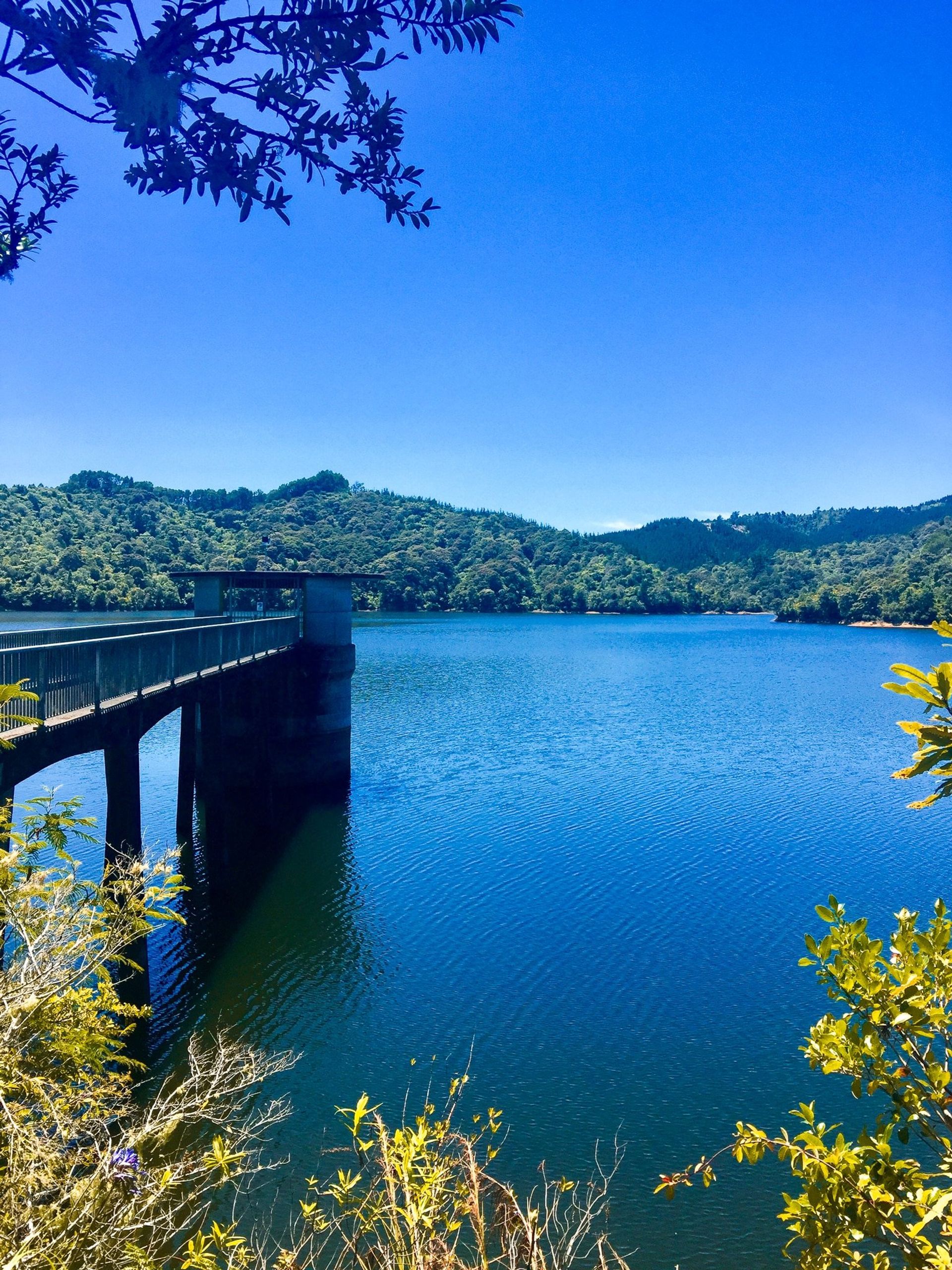 Hunua Ranges | South Auckland - New Zealand Trip Ideas