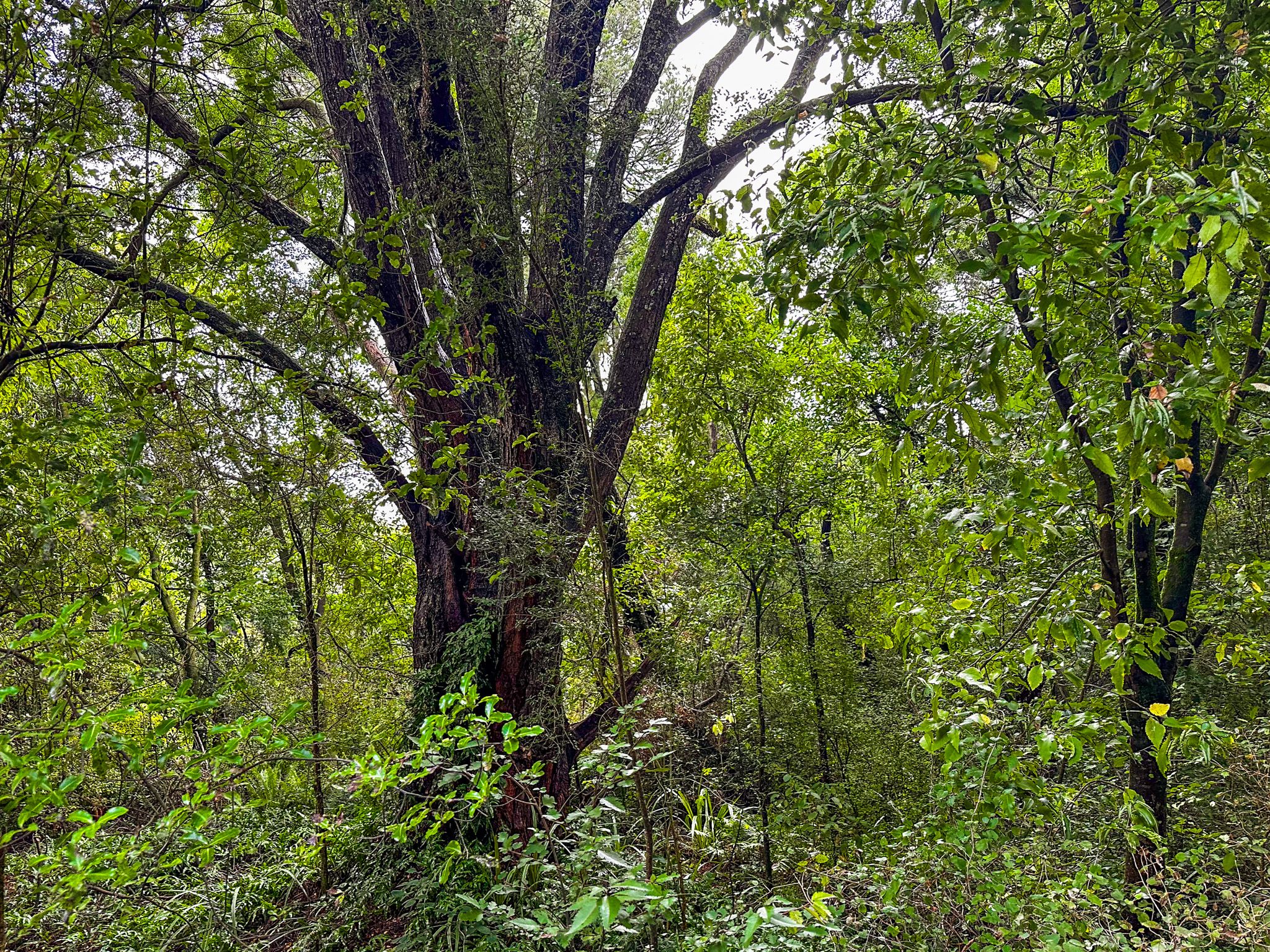 Image 8 of 10