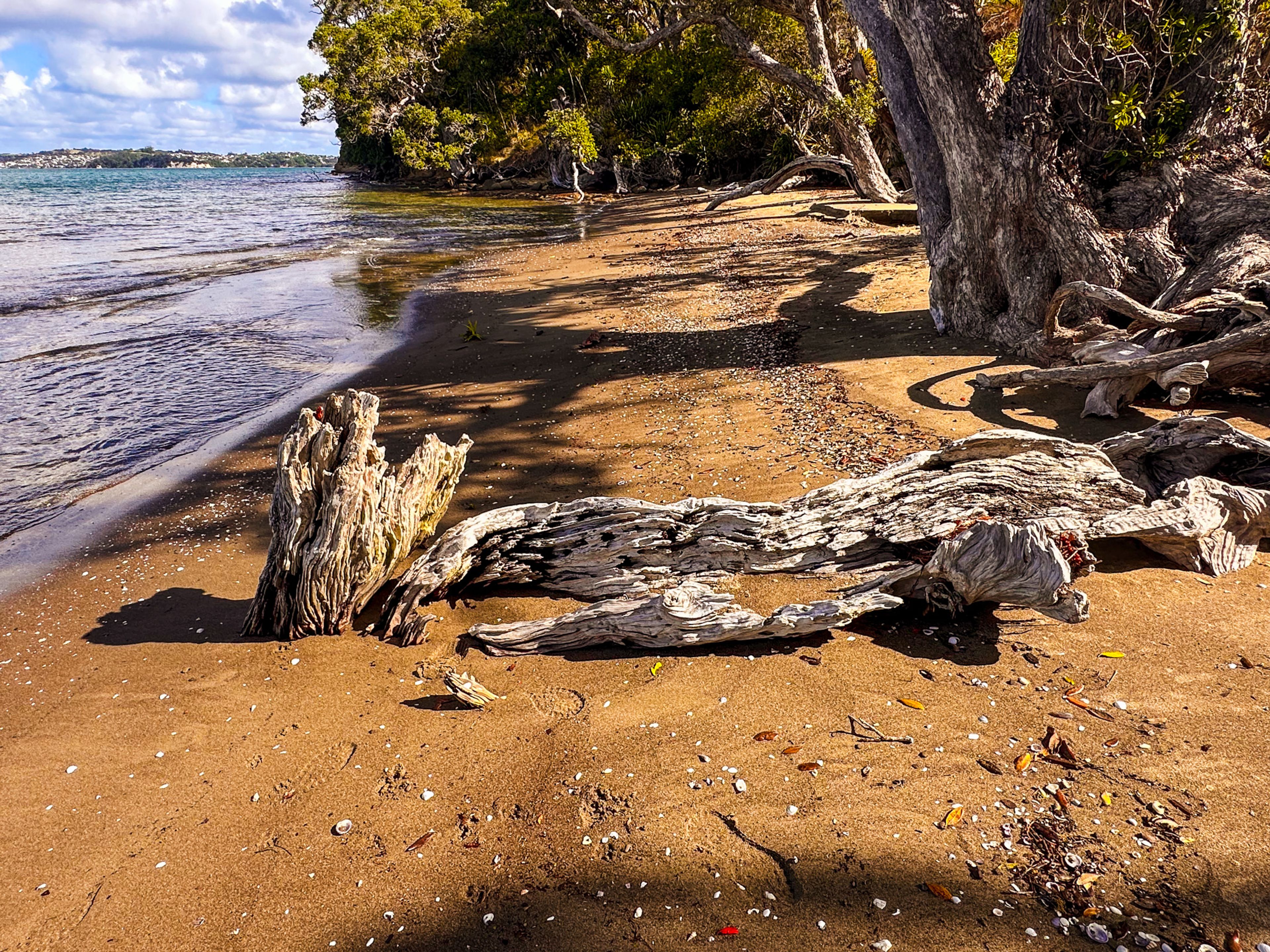 Image 8 of 10