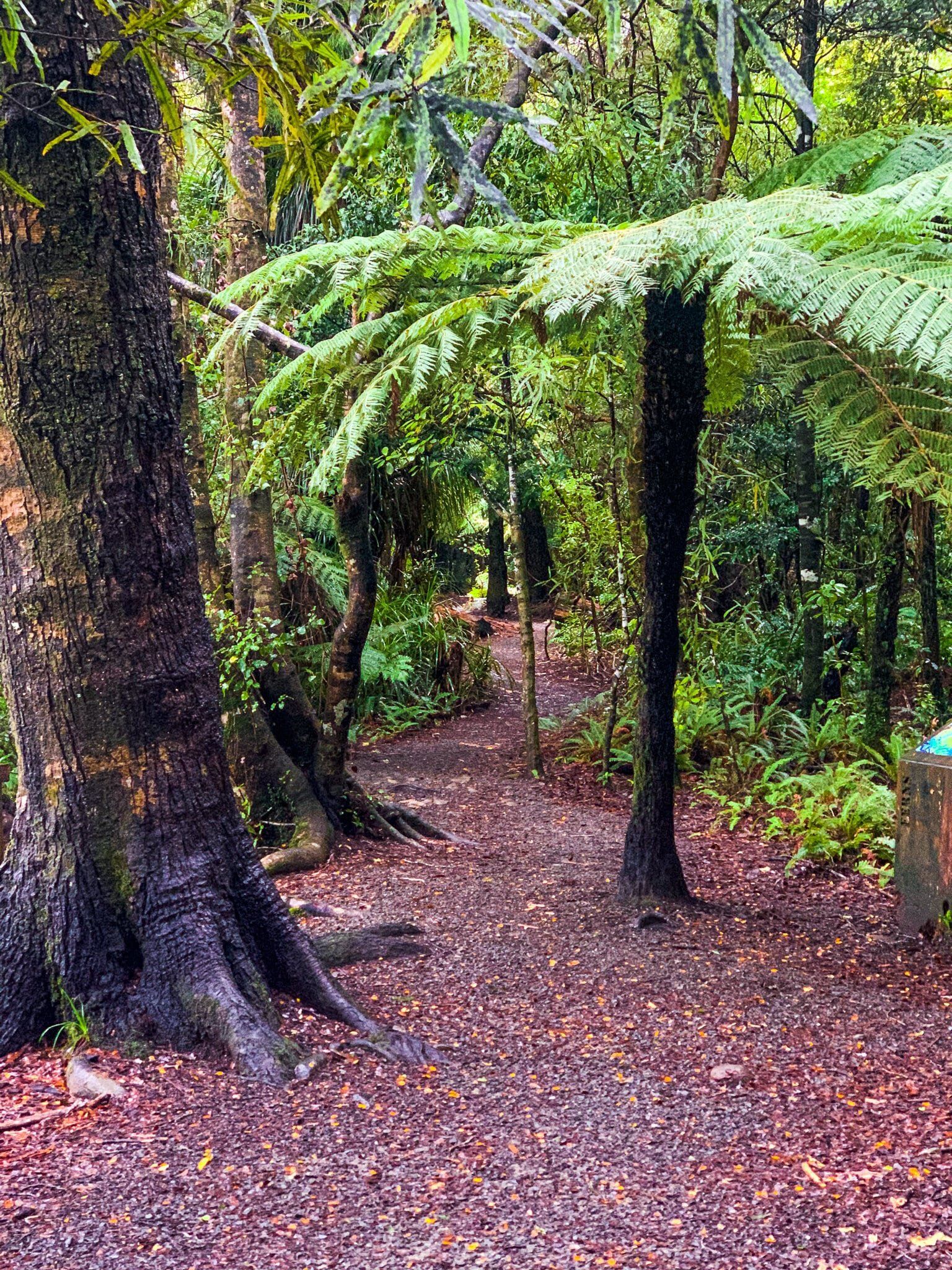 Image 8 of 8