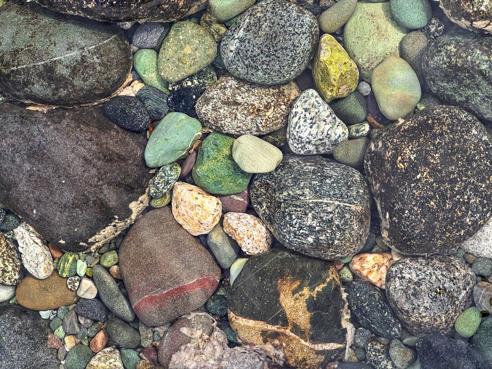 Image 2 of 8