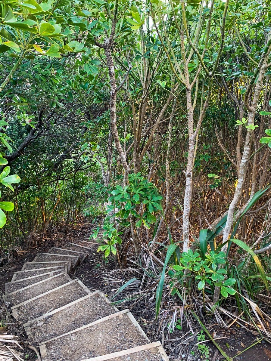 Image 7 of 9