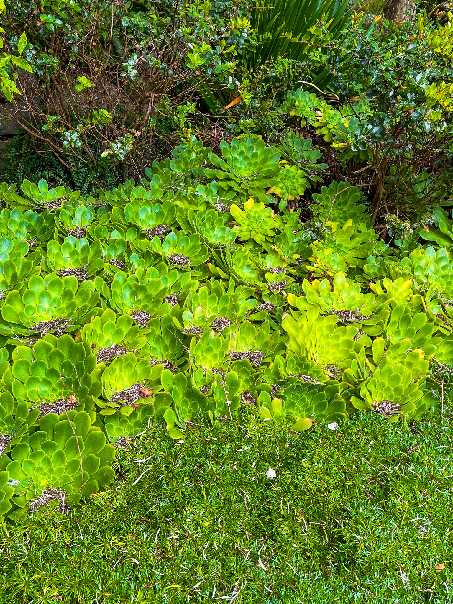 Image 9 of 10