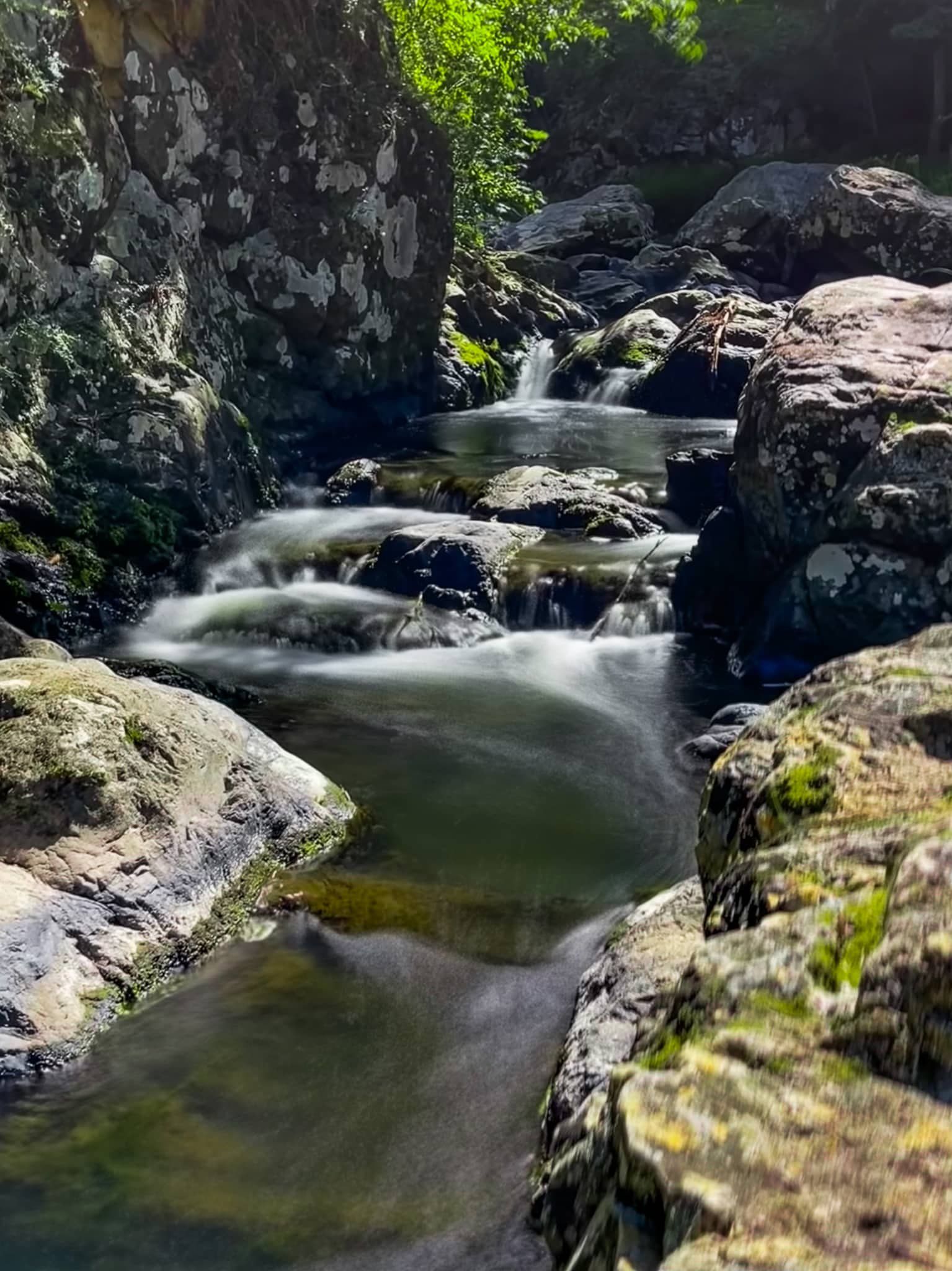 Image 6 of 10
