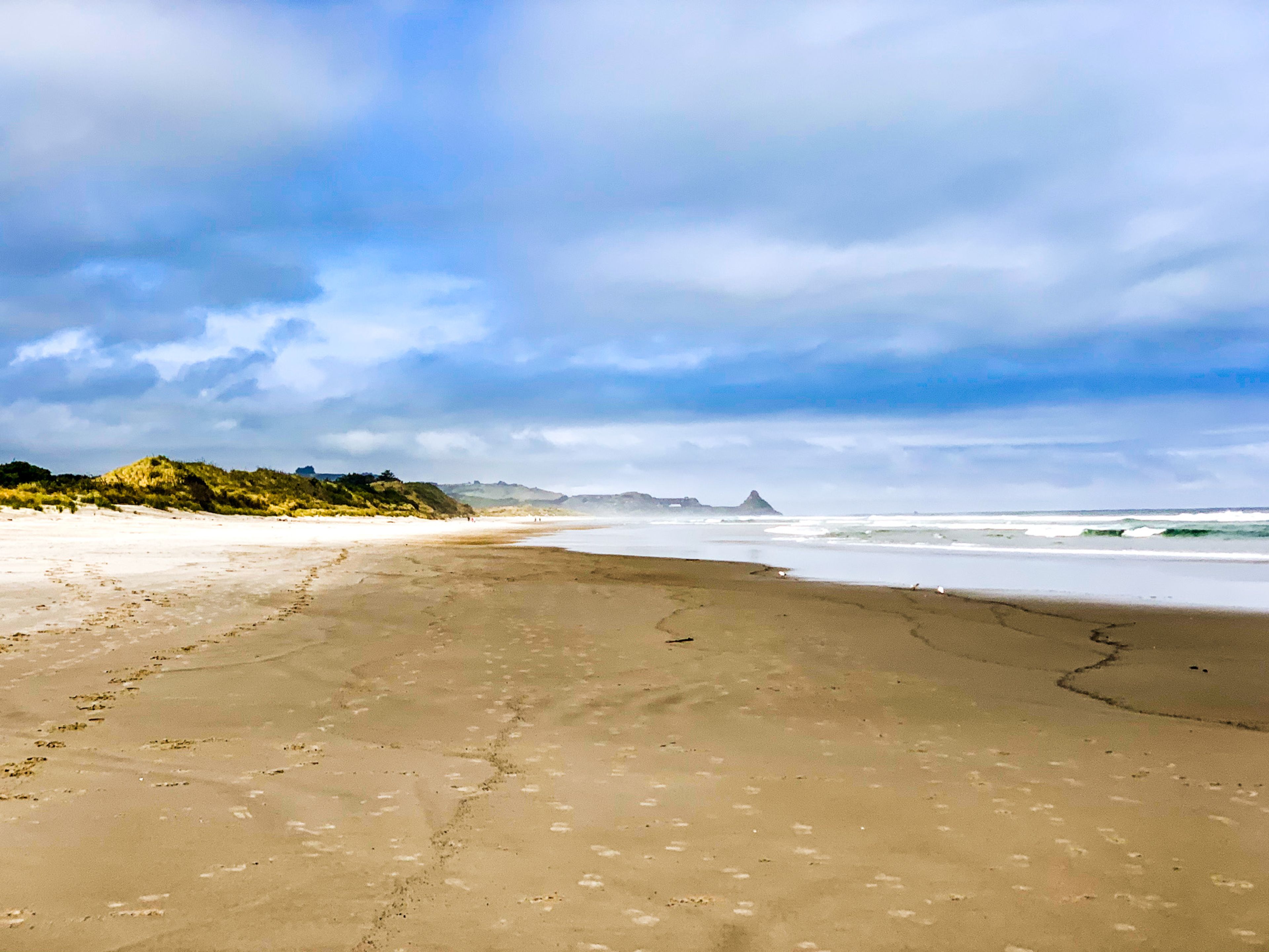 Ocean View Beach, Dunedin