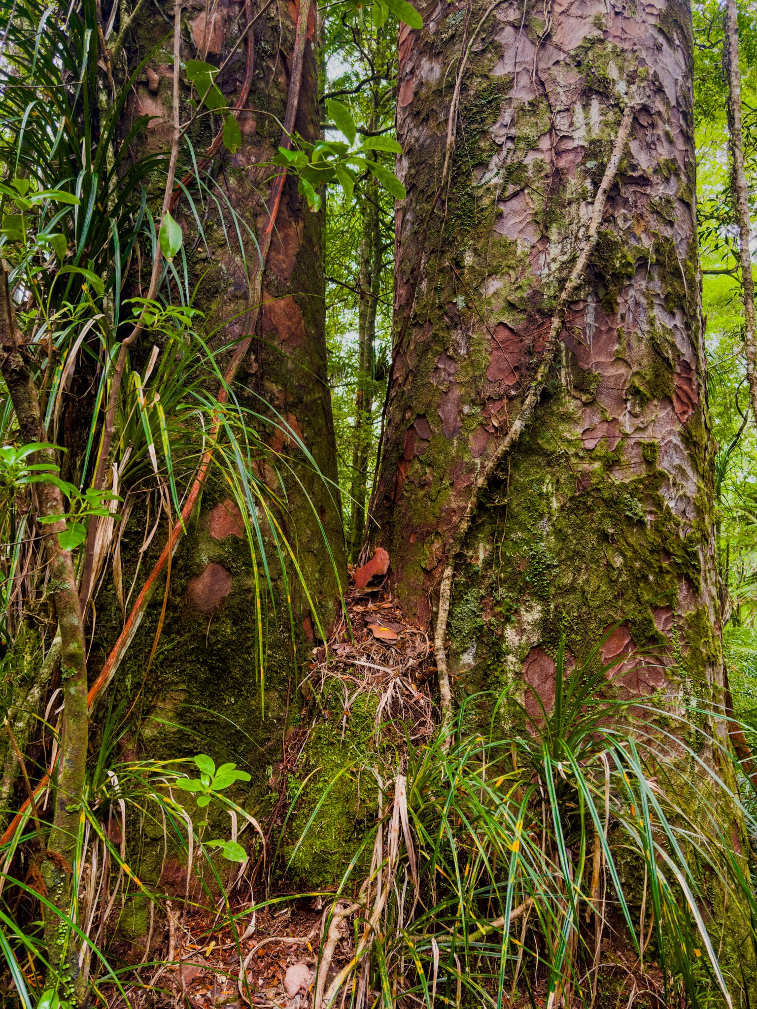 Image 7 of 10