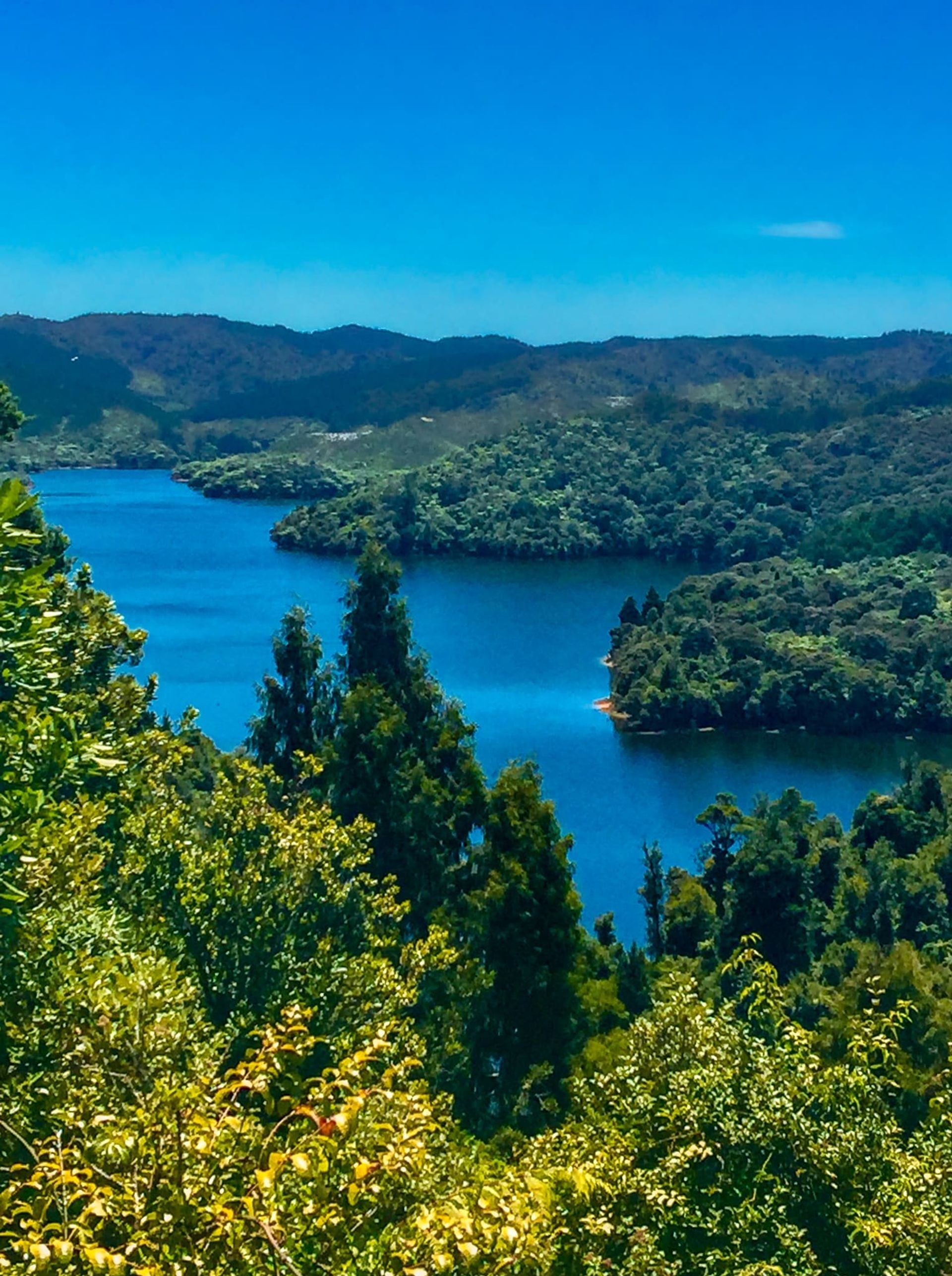 Hunua Ranges | South Auckland - New Zealand Trip Ideas