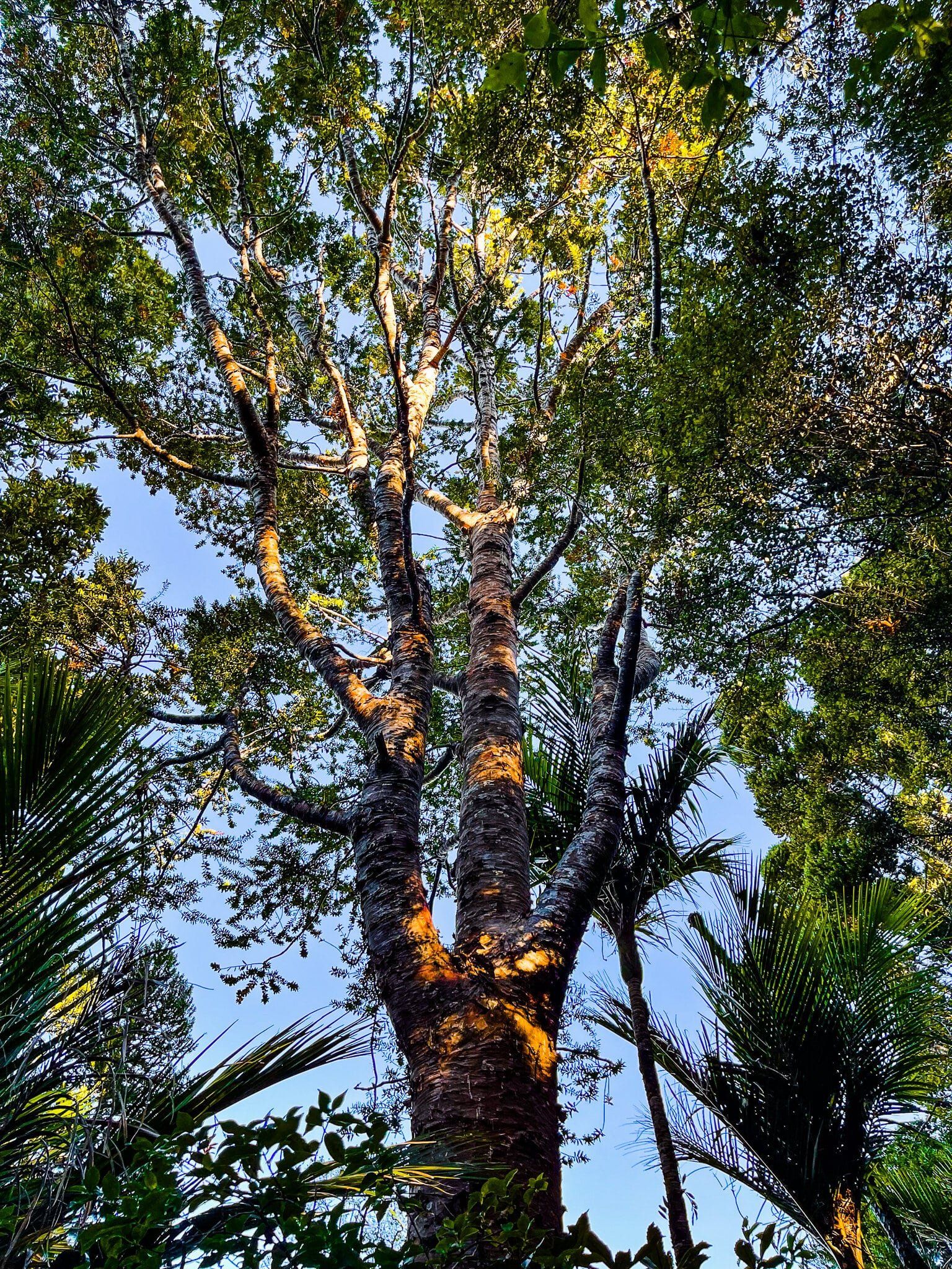 Image 10 of 11