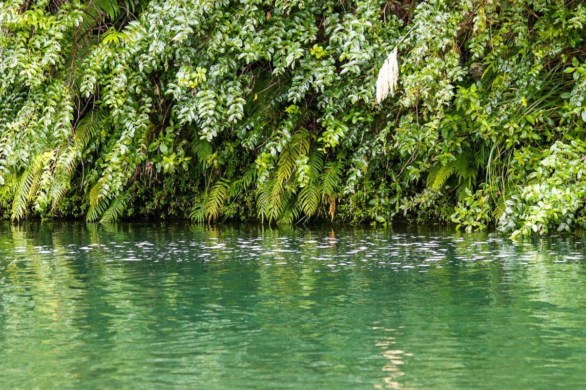 Remote Drive to Blue Duck Station at Whakahoro