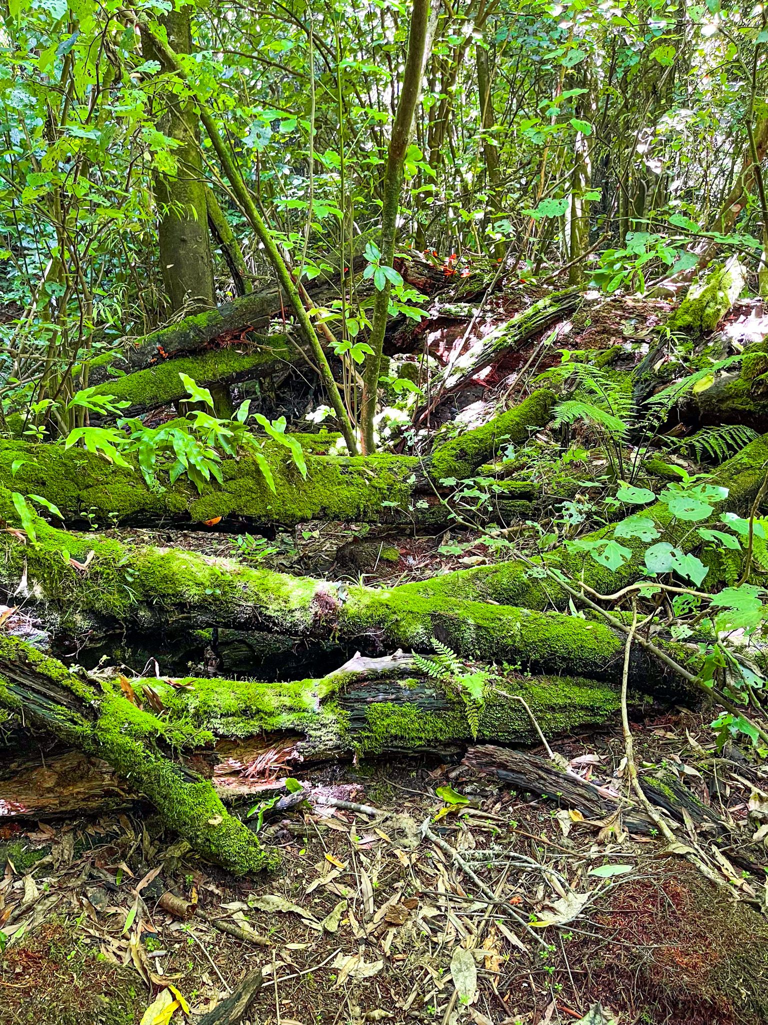 Image 7 of 10