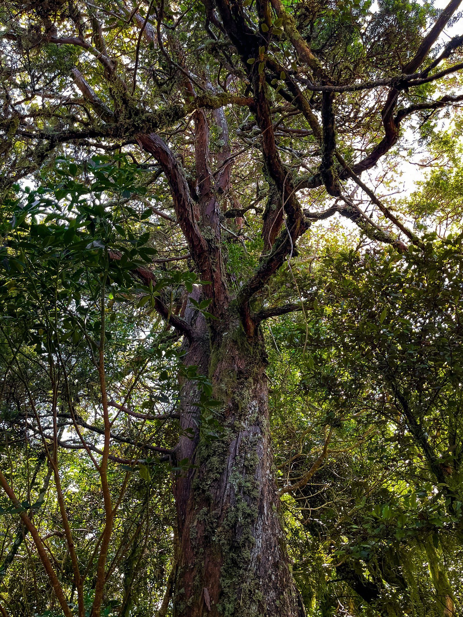 Image 11 of 11
