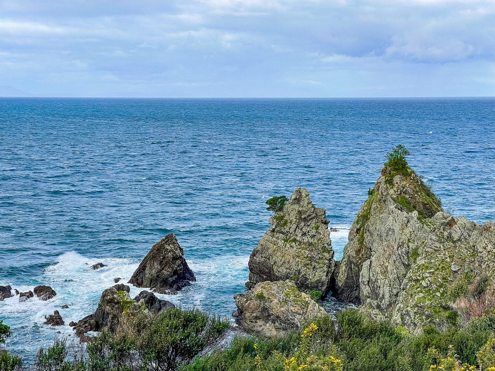 Image 12 of 12