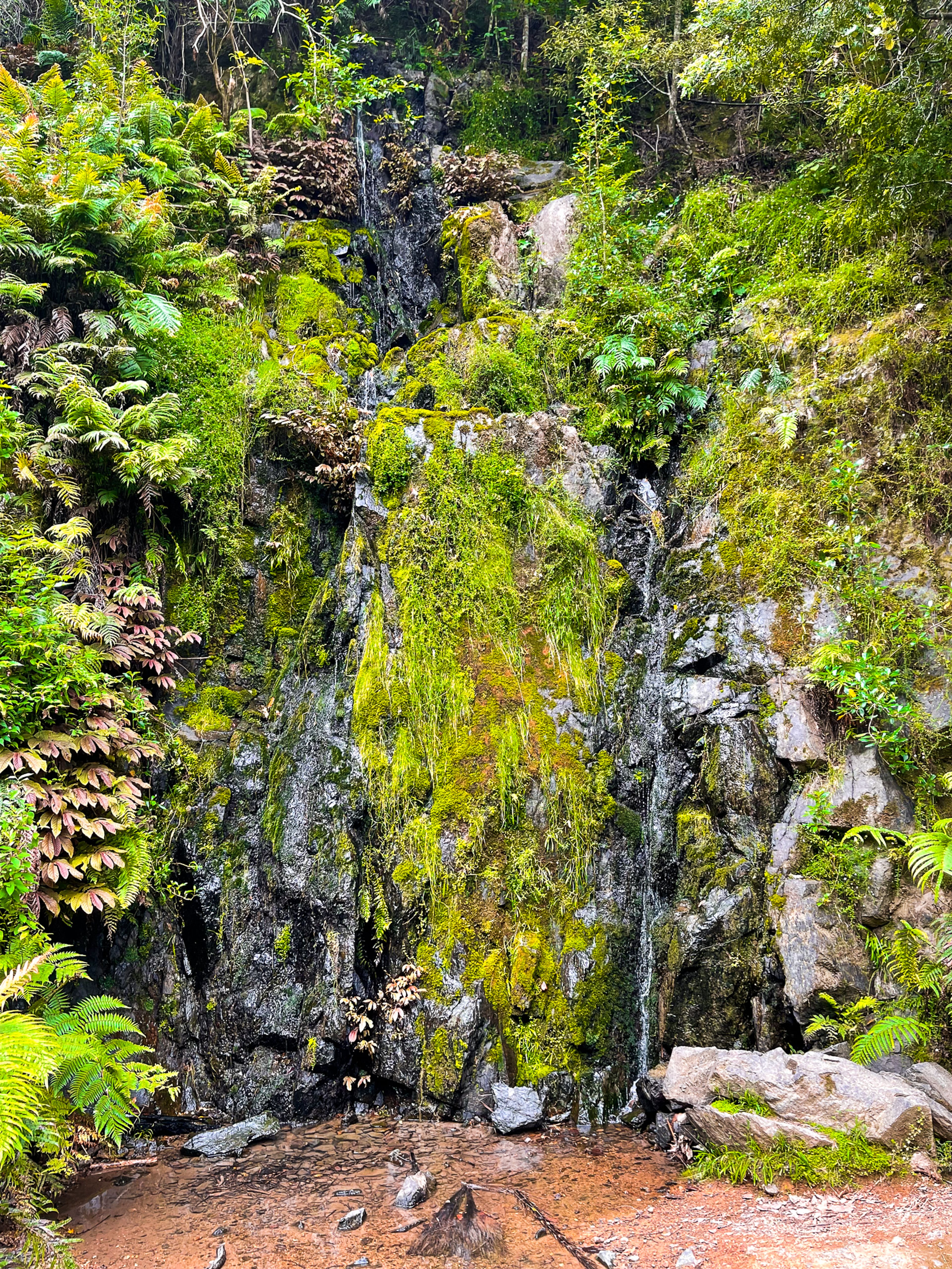 Image 7 of 10