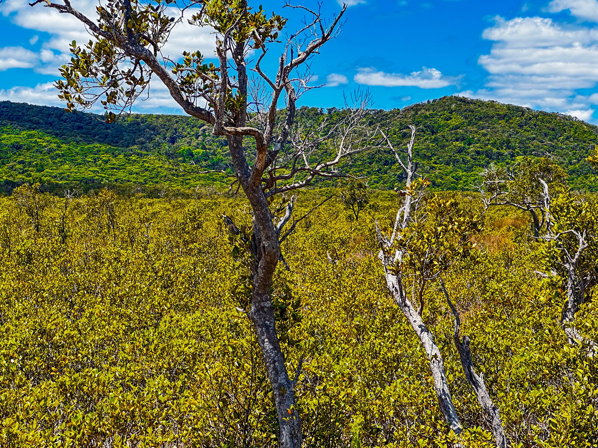 Image 7 of 10