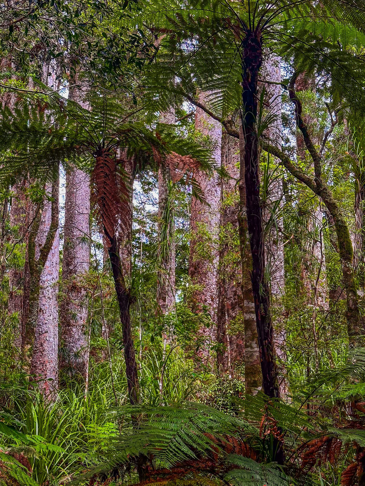 Image 9 of 10