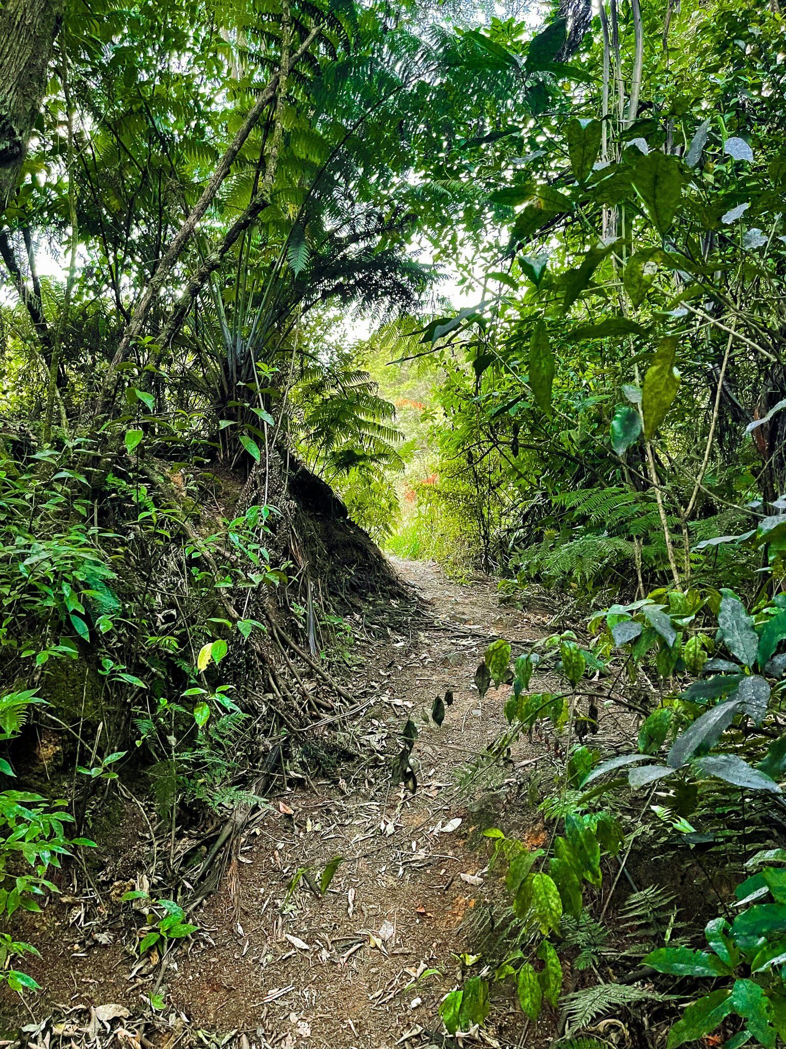 Image 9 of 10