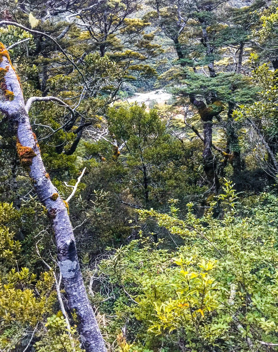 Image 4 of 6