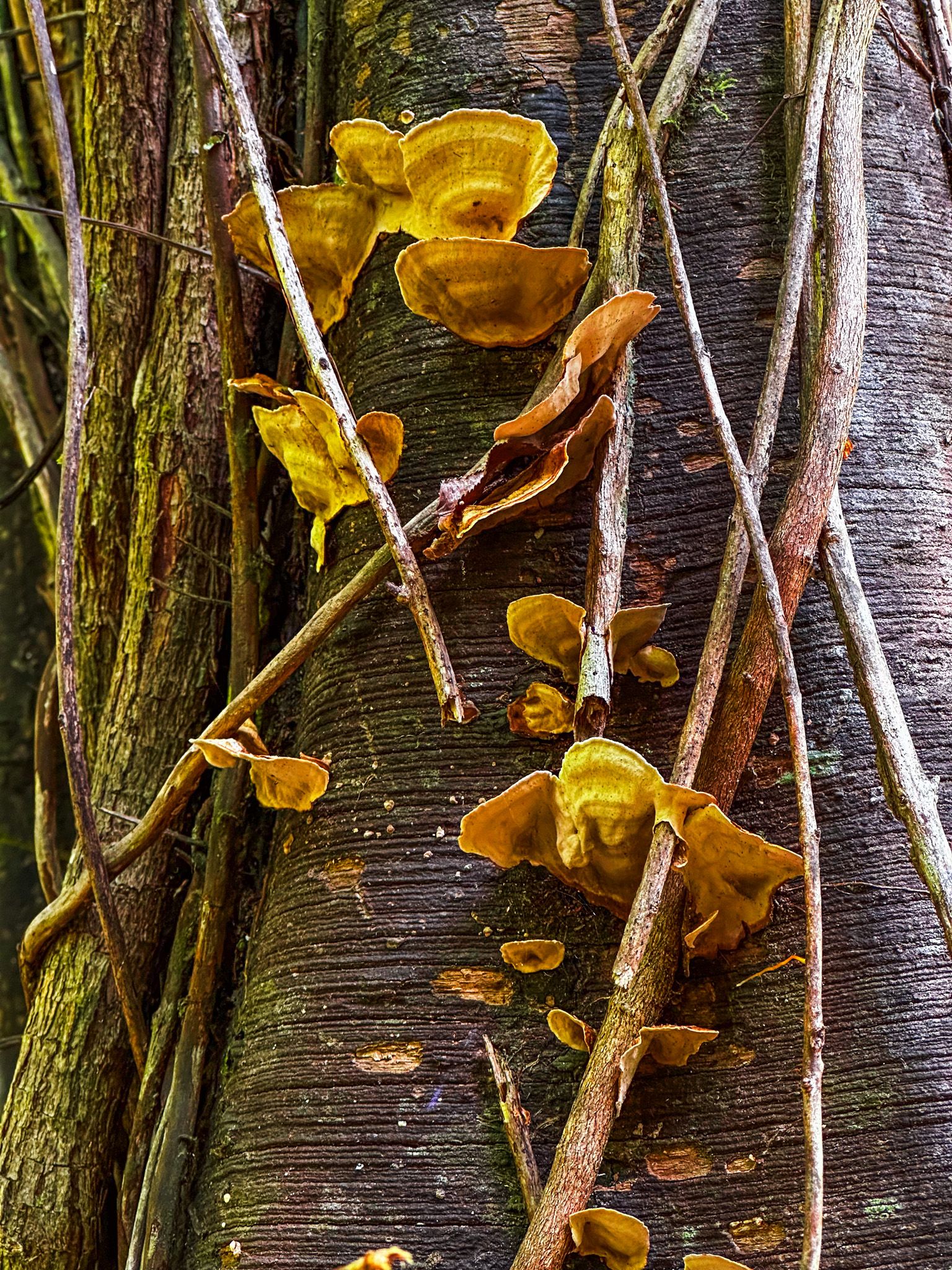 Image 4 of 9