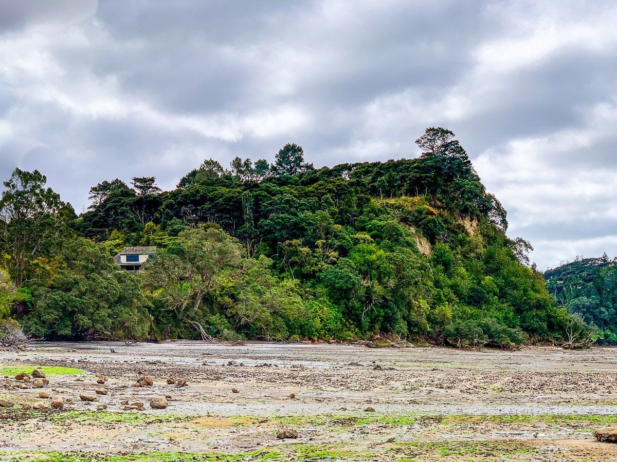 Waitakere Walking Tracks, part 1 - Trip Ideas