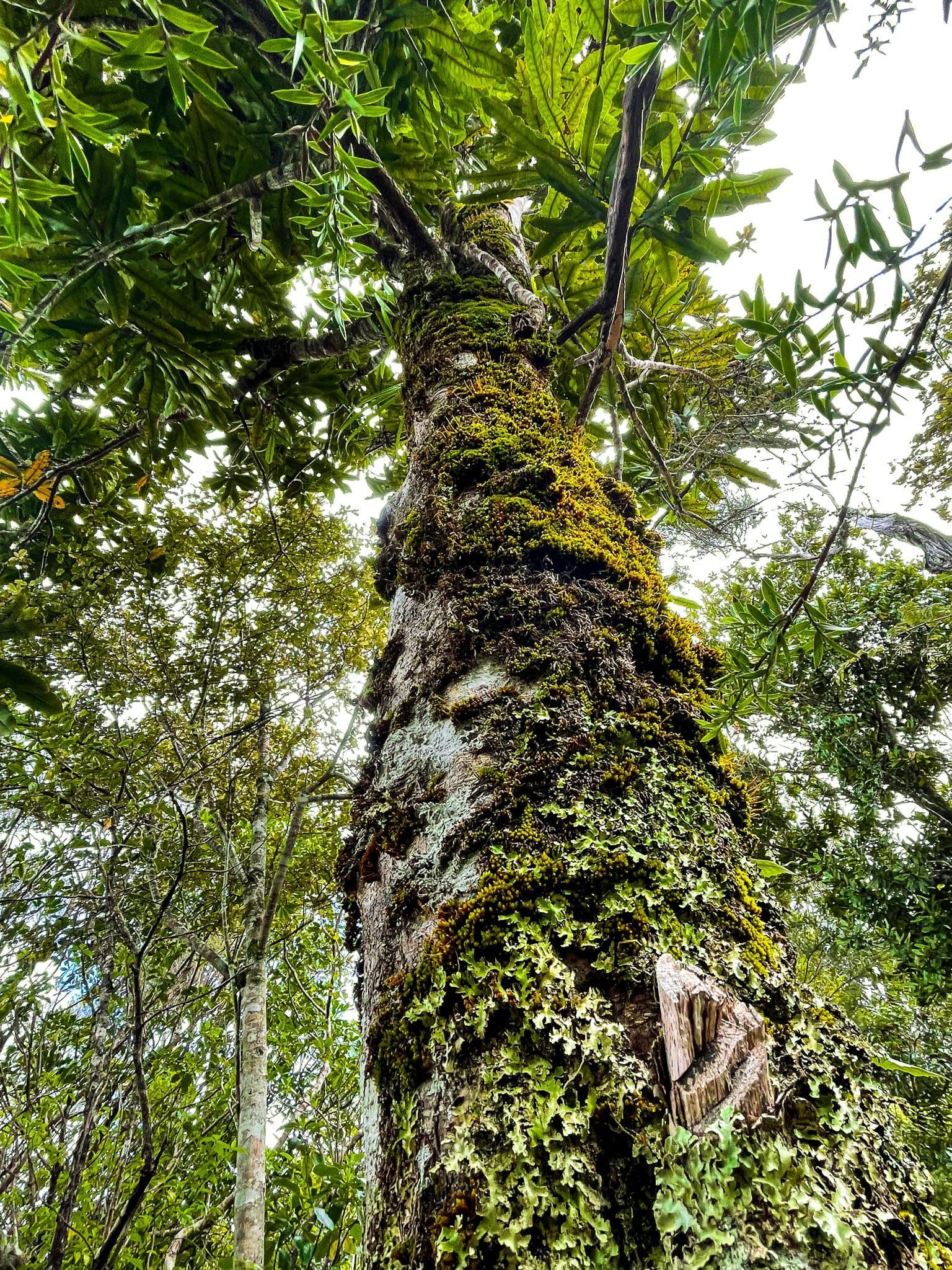 Image 7 of 10