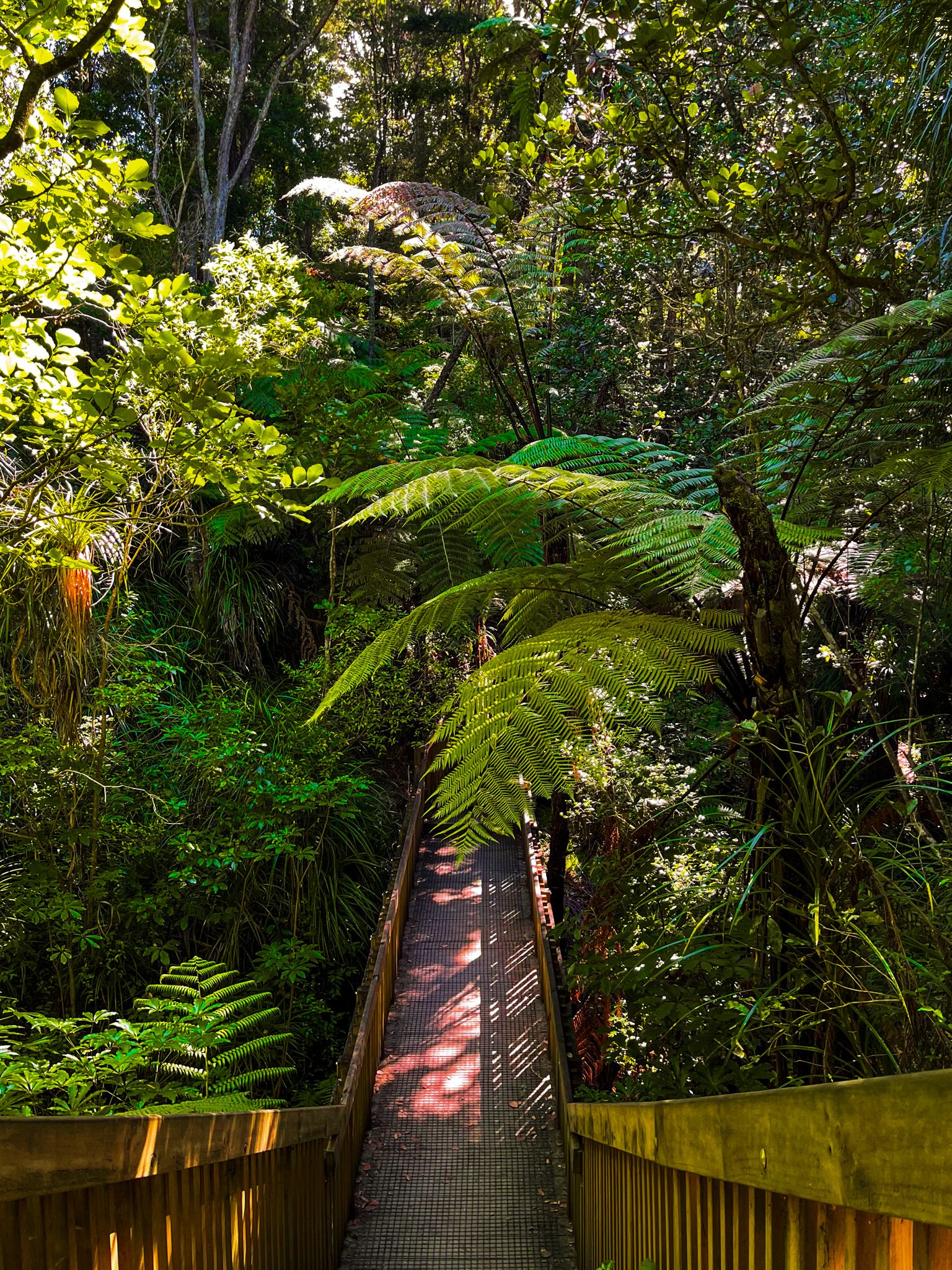 Image 8 of 10