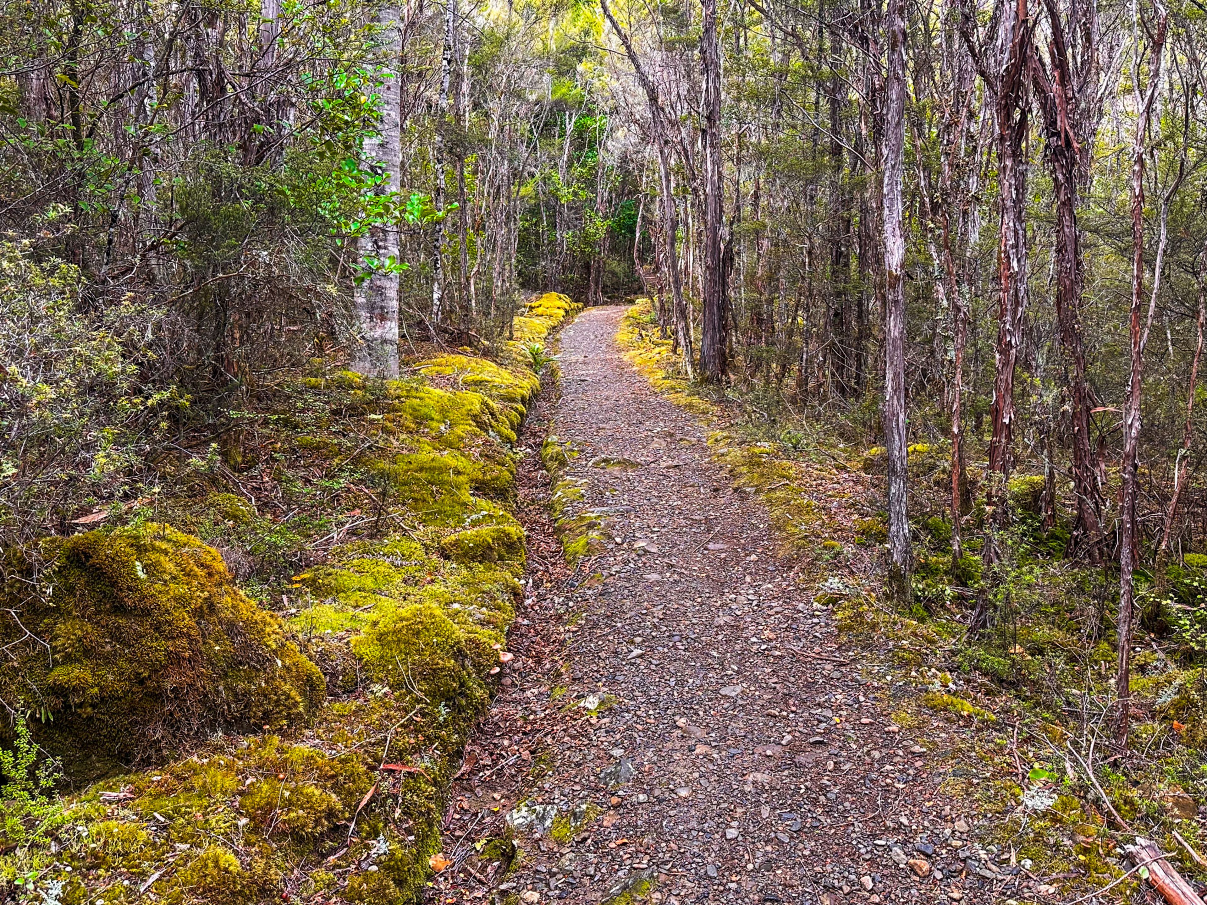 Image 9 of 10