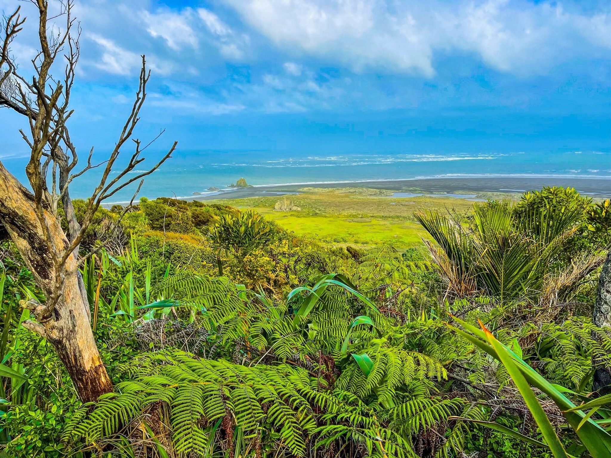 Gibbons and Muir Tracks | West Auckland - New Zealand Trip Ideas
