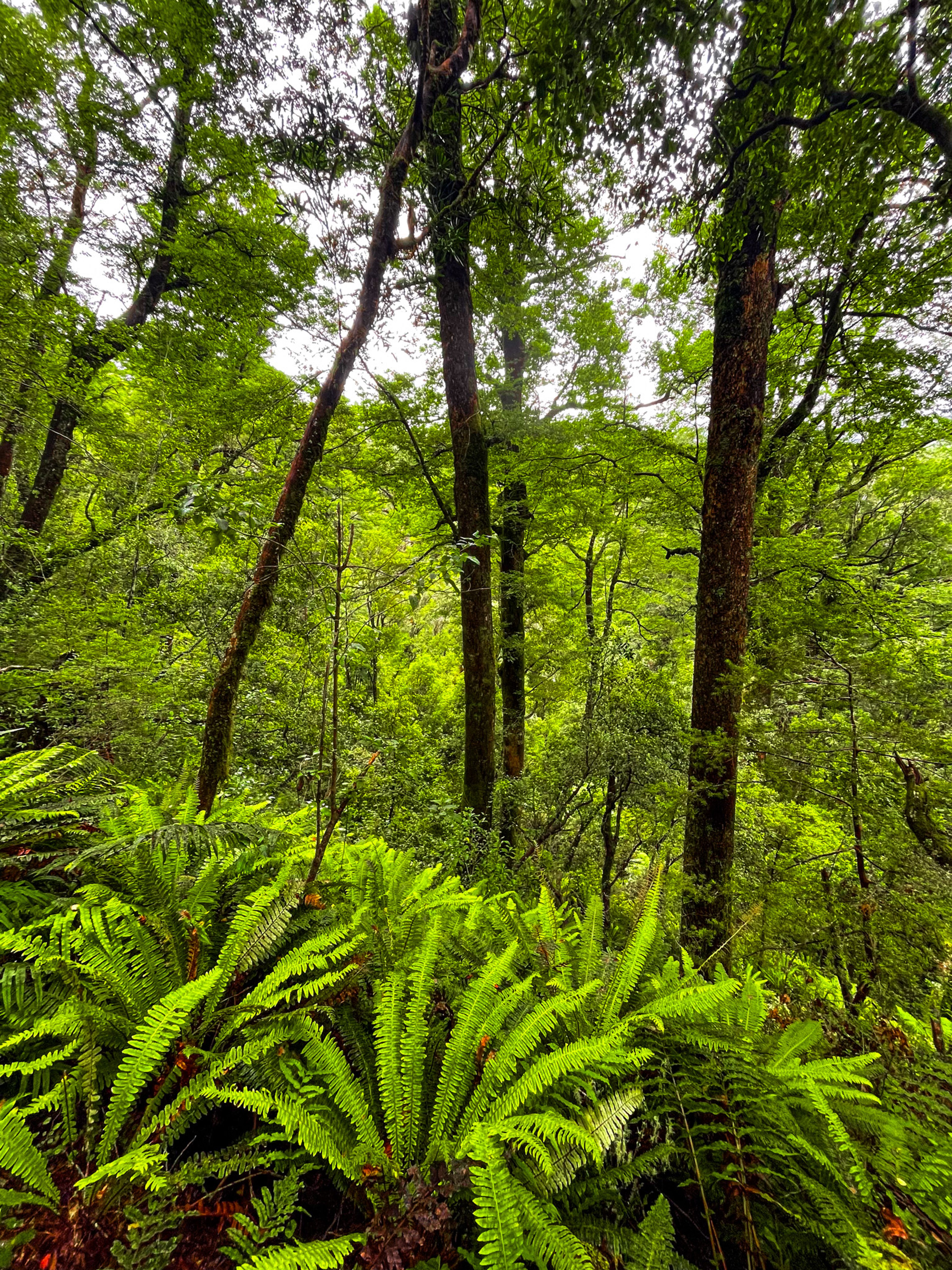 Image 8 of 10