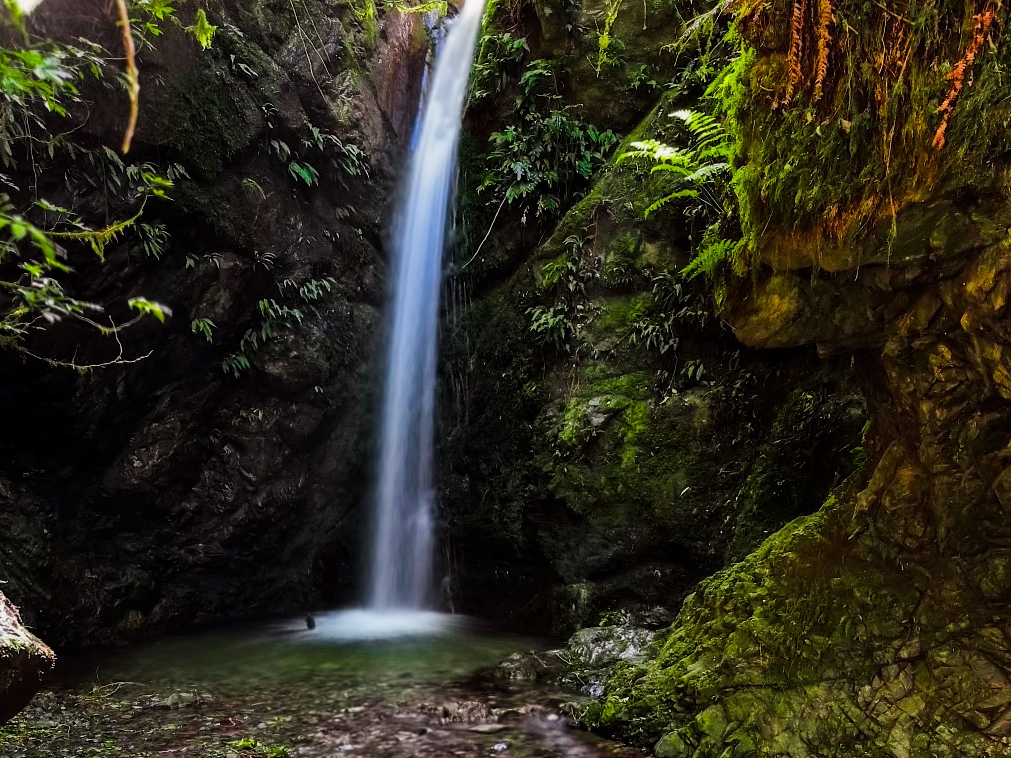Emily Falls Track