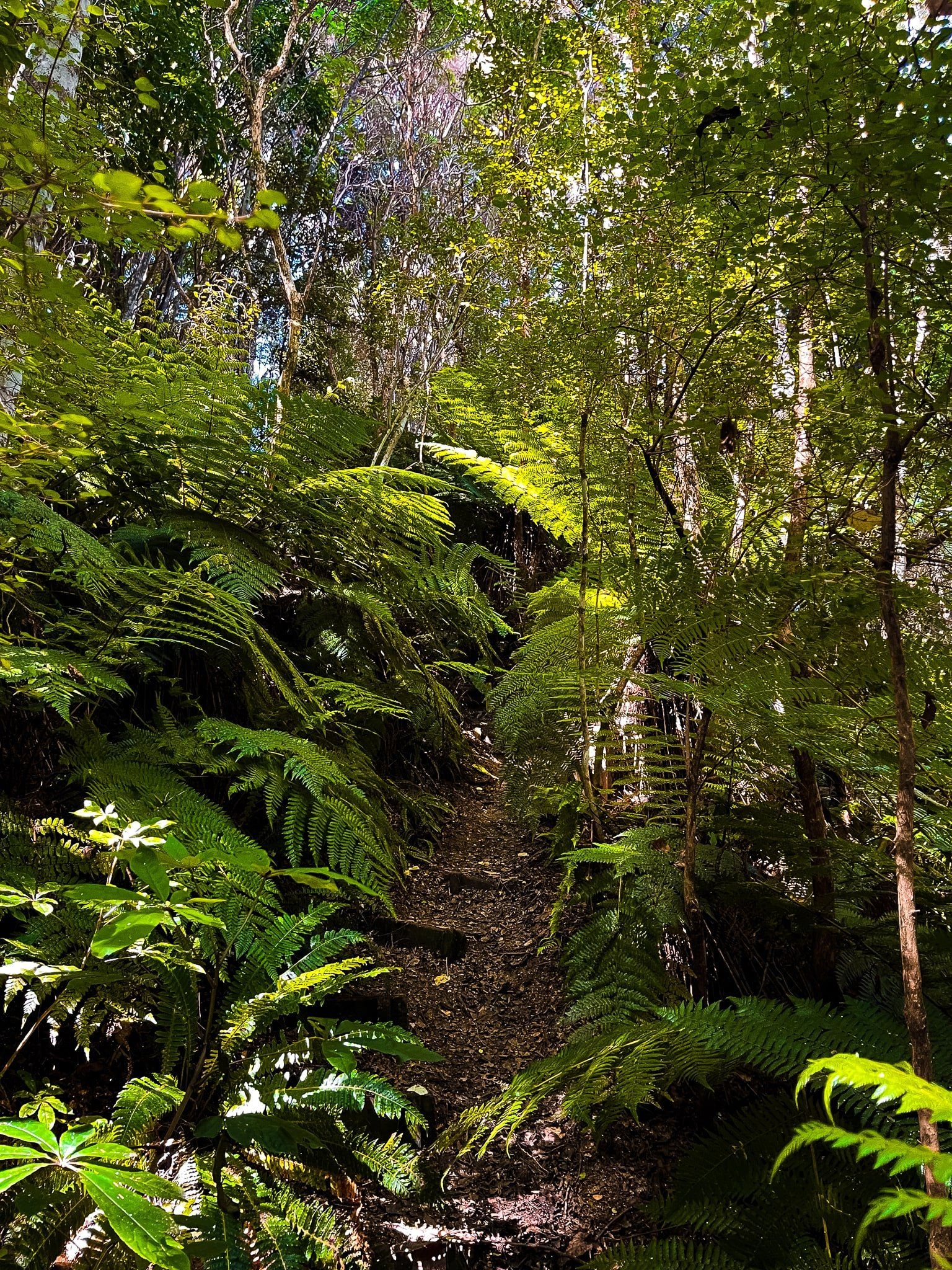 Image 8 of 10