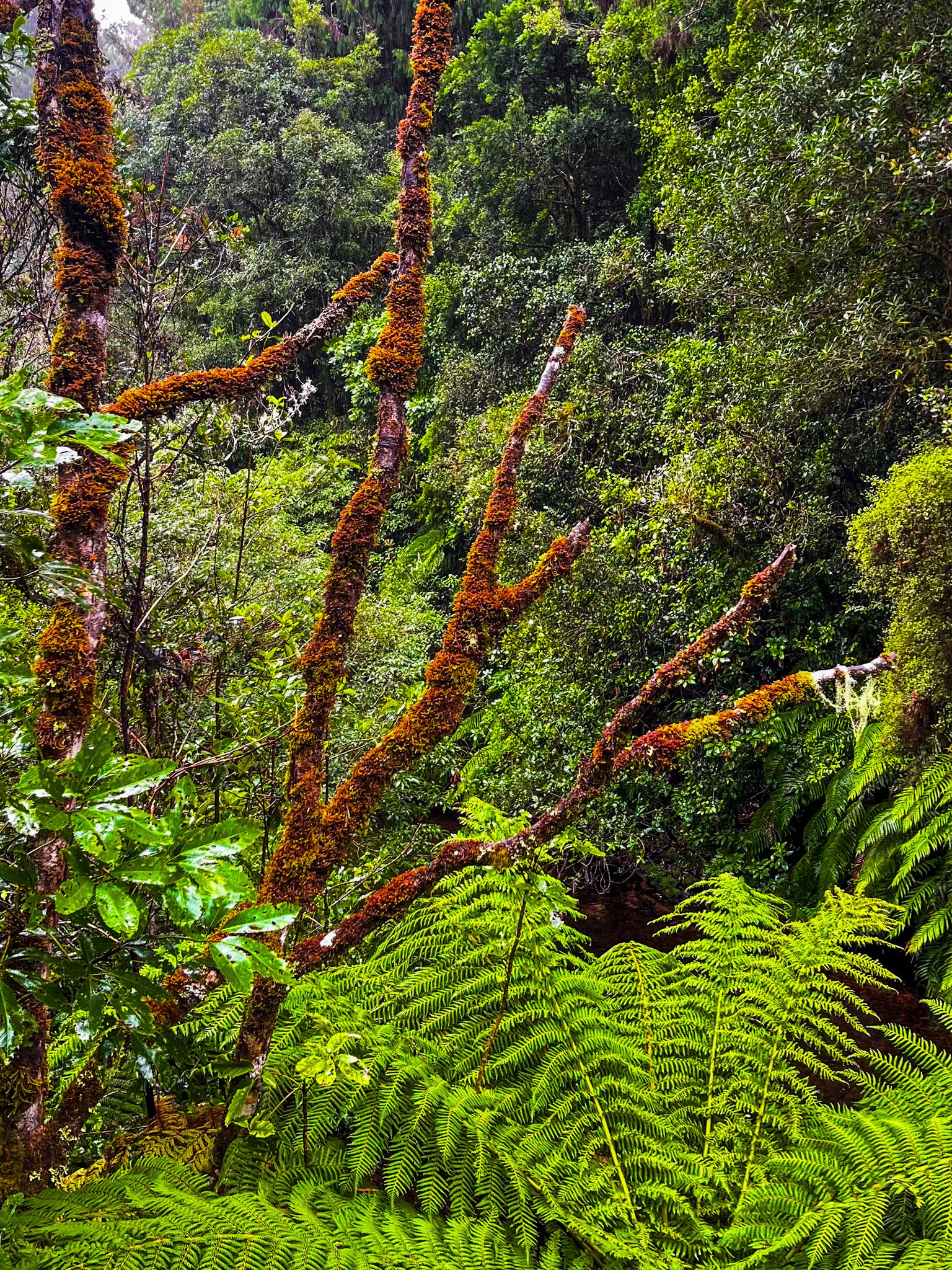 Image 9 of 10
