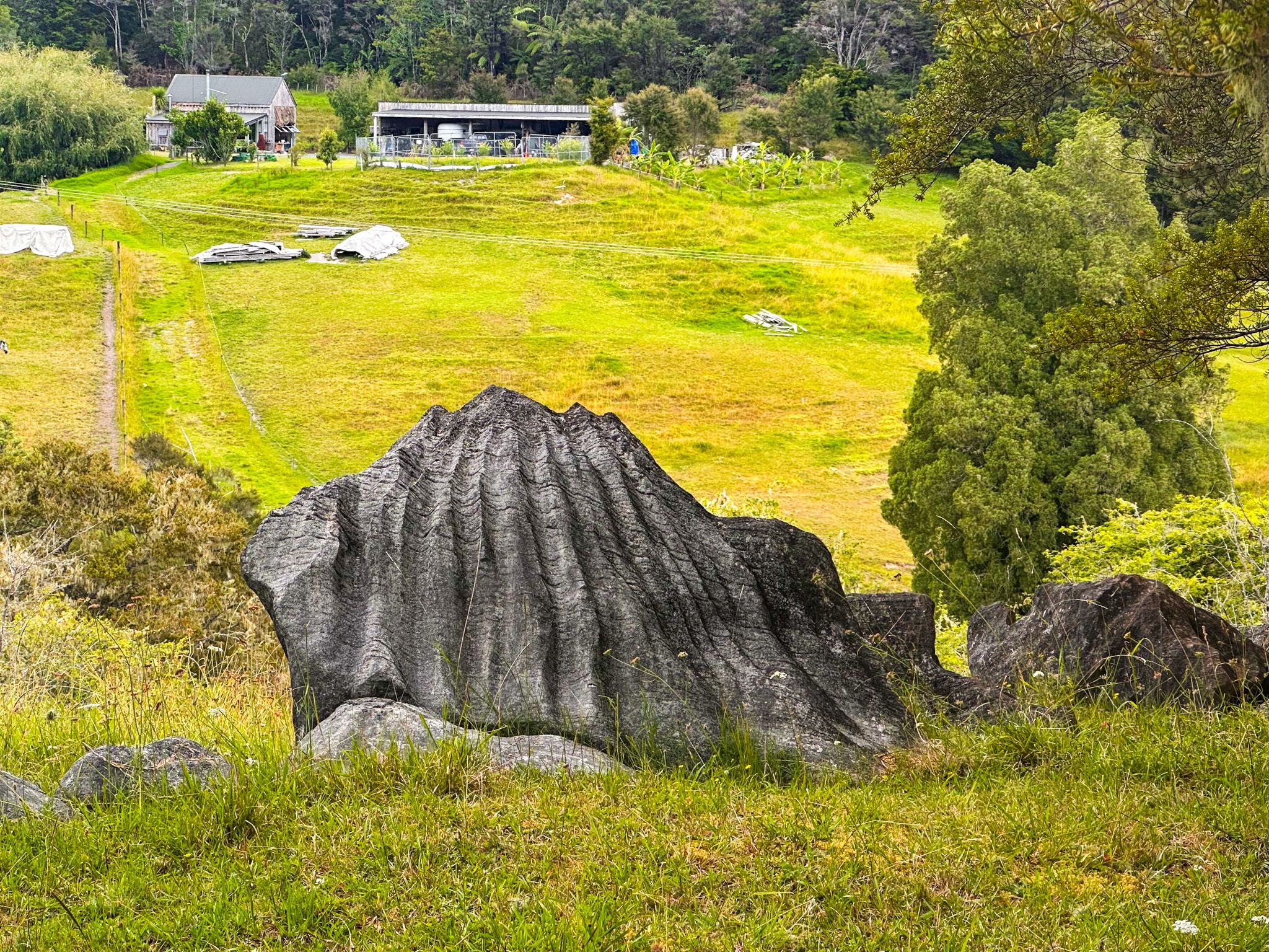 Image 6 of 10
