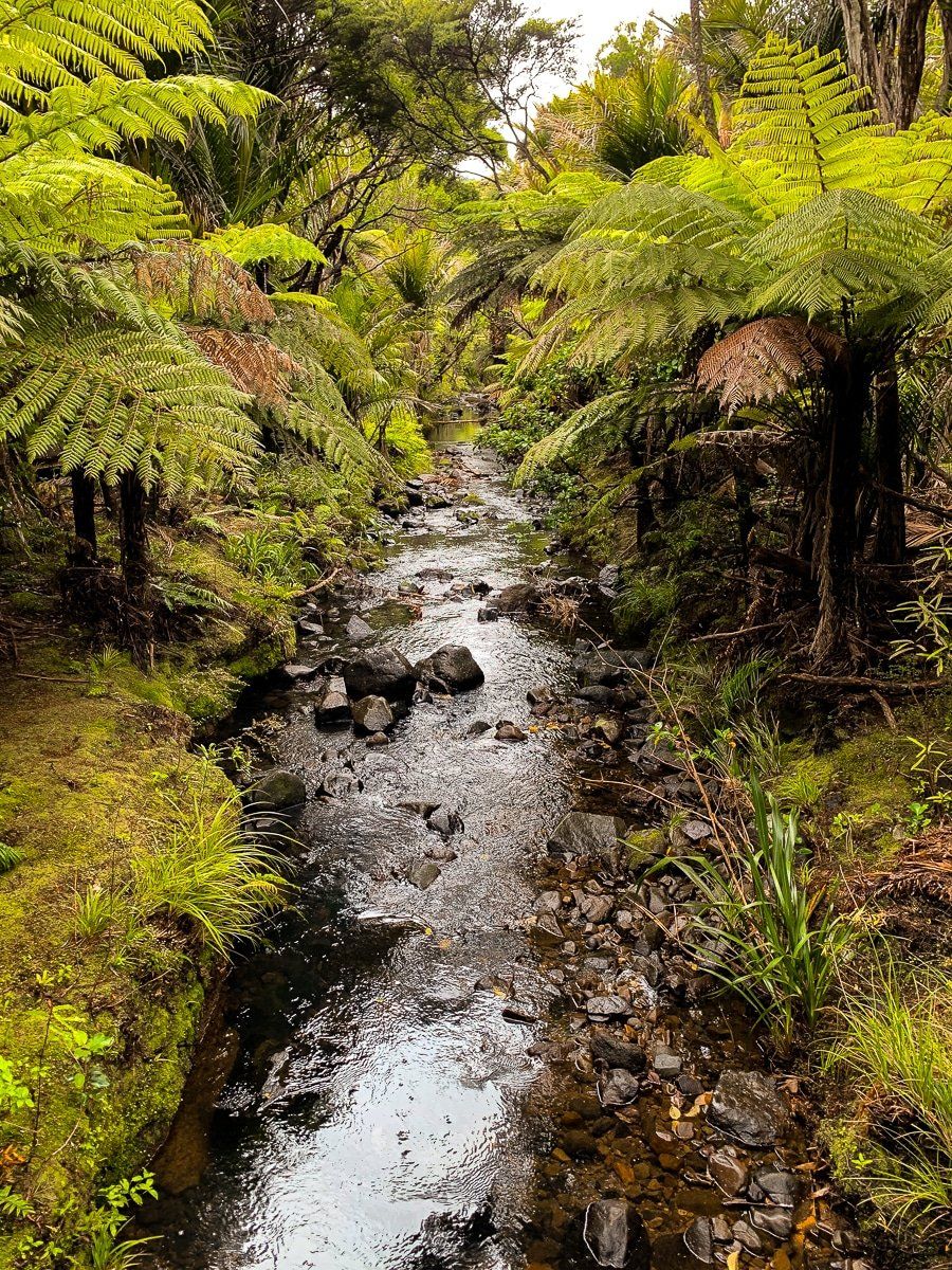 Image 6 of 8